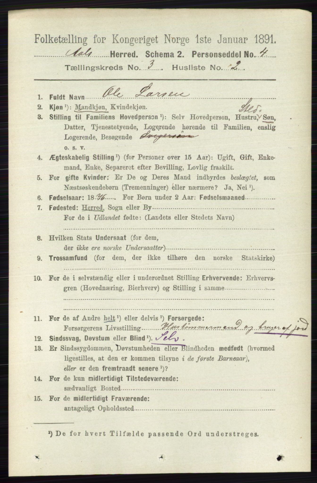 RA, 1891 census for 0619 Ål, 1891, p. 661