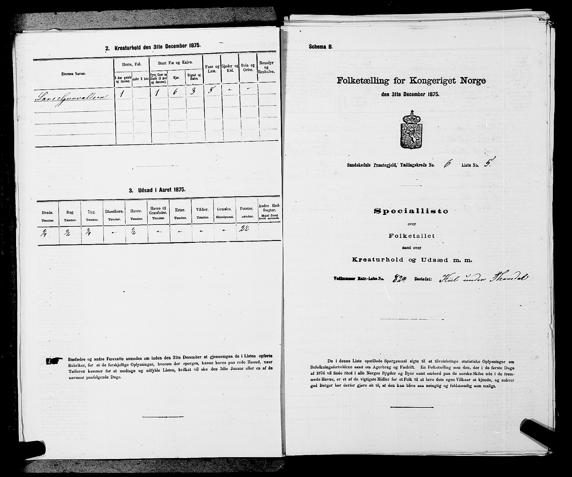 SAKO, 1875 census for 0816P Sannidal, 1875, p. 419