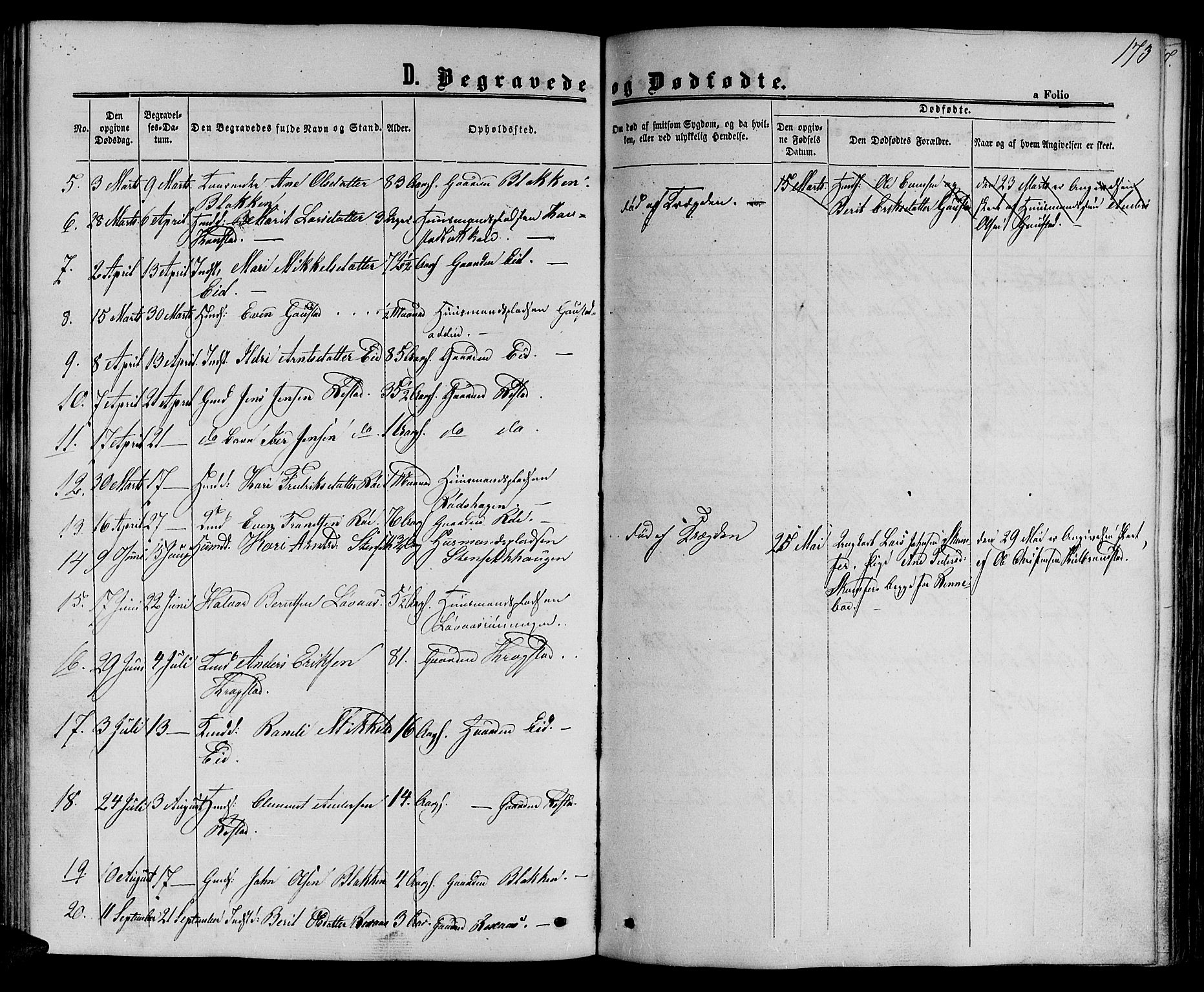 Ministerialprotokoller, klokkerbøker og fødselsregistre - Sør-Trøndelag, AV/SAT-A-1456/694/L1131: Parish register (copy) no. 694C03, 1858-1886, p. 173