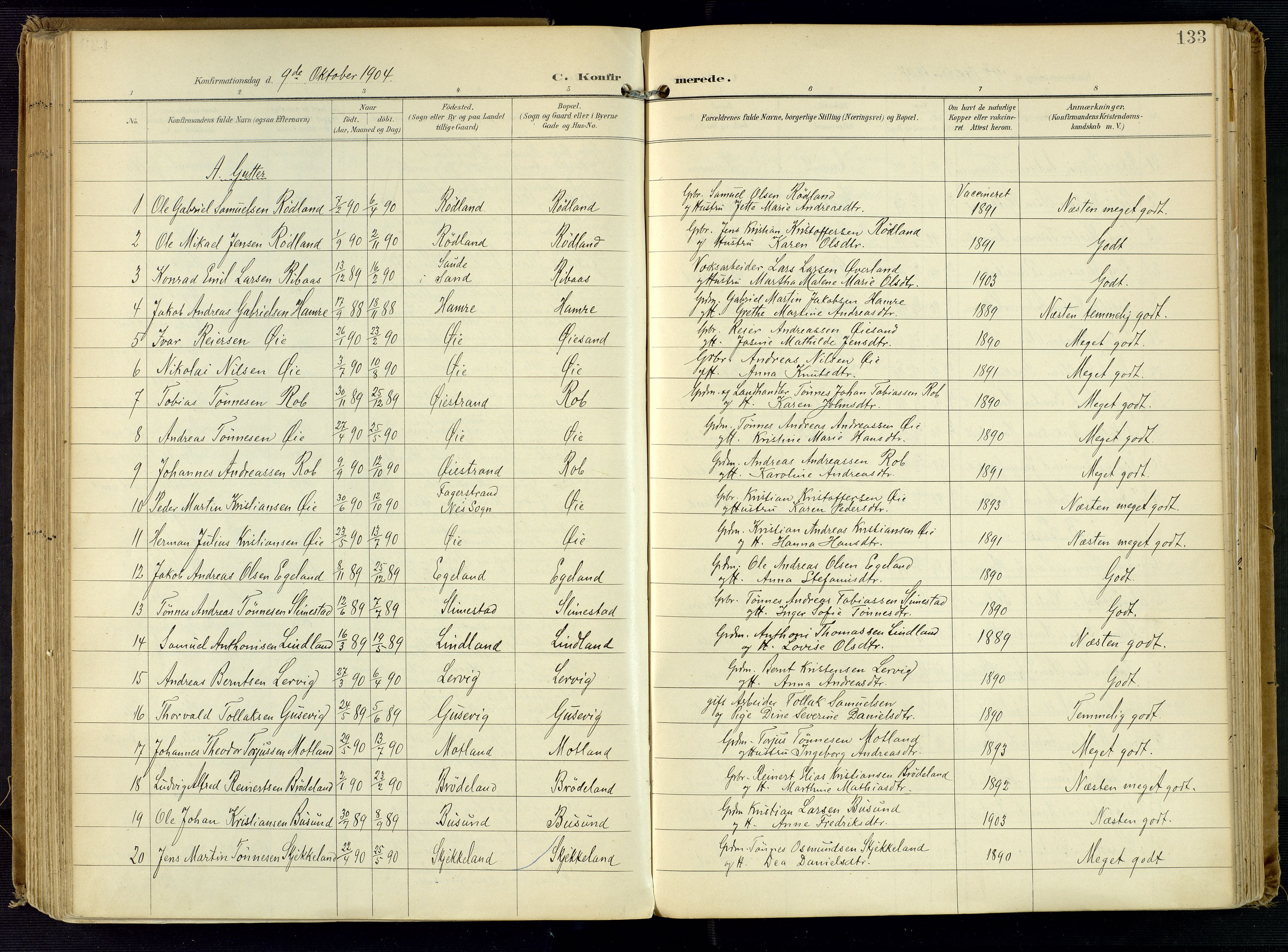 Kvinesdal sokneprestkontor, AV/SAK-1111-0026/F/Fa/Fab/L0009: Parish register (official) no. A 9, 1898-1915, p. 133