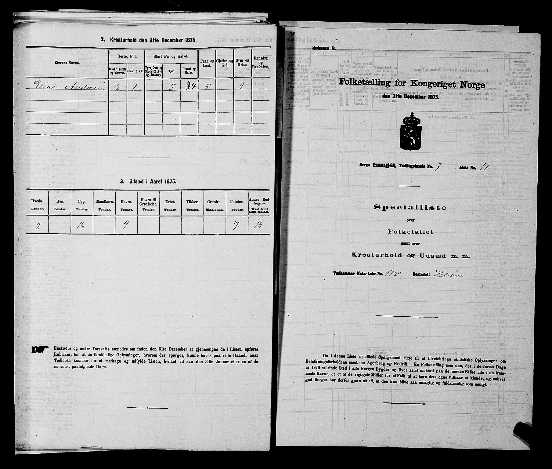 RA, 1875 census for 0116P Berg, 1875, p. 1171