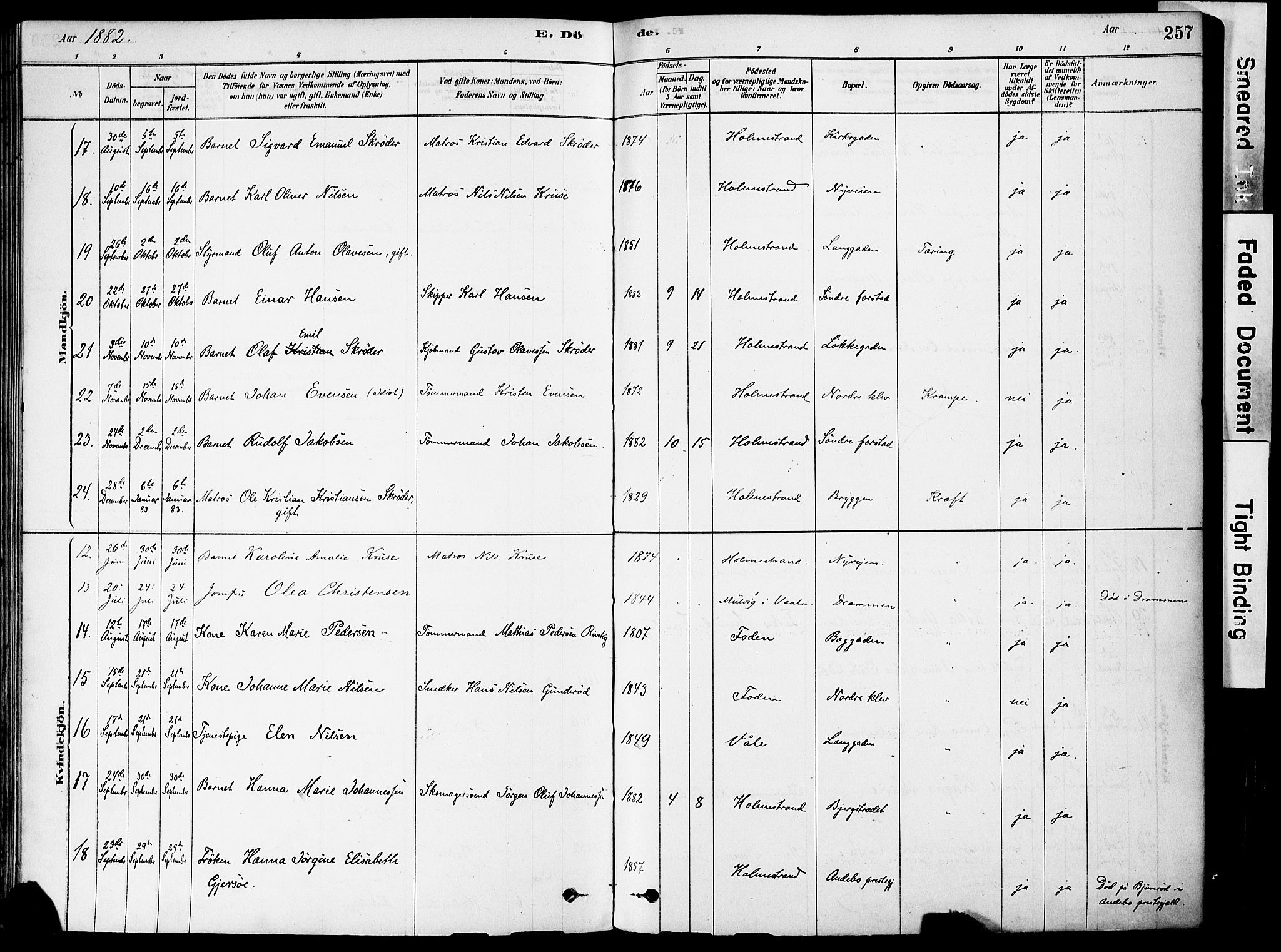 Holmestrand kirkebøker, AV/SAKO-A-346/F/Fa/L0004: Parish register (official) no. 4, 1880-1901, p. 257