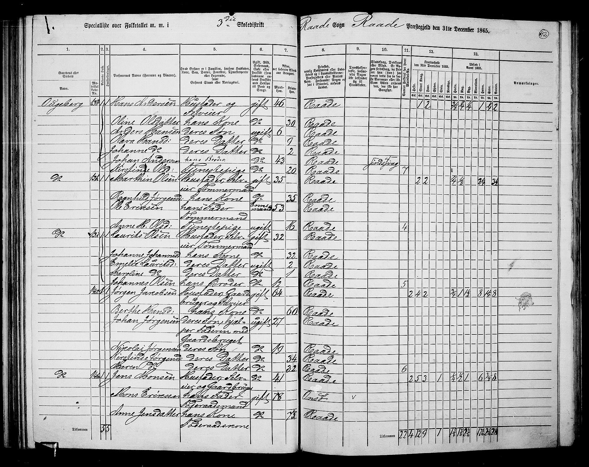 RA, 1865 census for Råde, 1865, p. 84