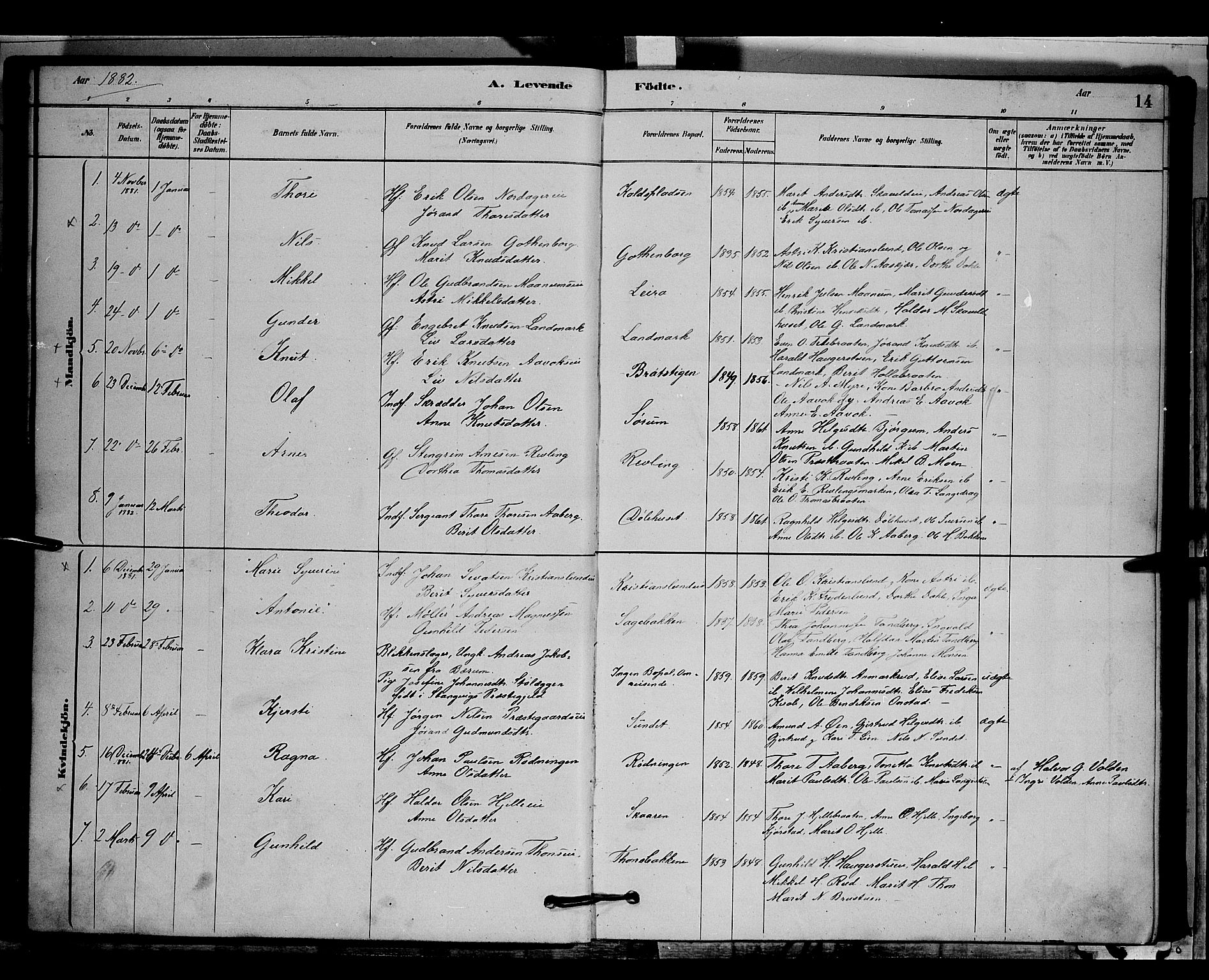 Nord-Aurdal prestekontor, SAH/PREST-132/H/Ha/Hab/L0006: Parish register (copy) no. 6, 1878-1892, p. 14