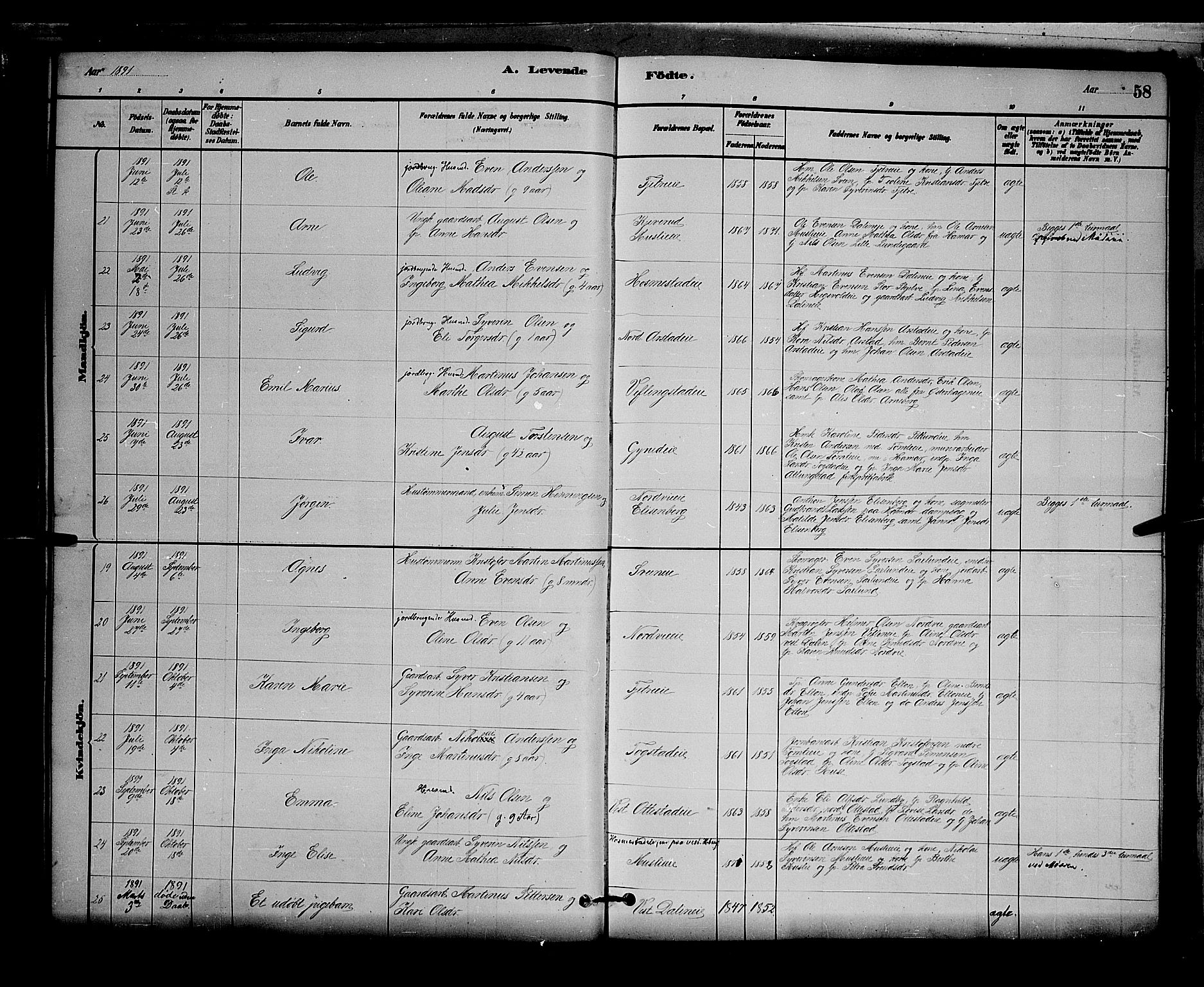 Stange prestekontor, SAH/PREST-002/L/L0007: Parish register (copy) no. 7, 1880-1893, p. 58