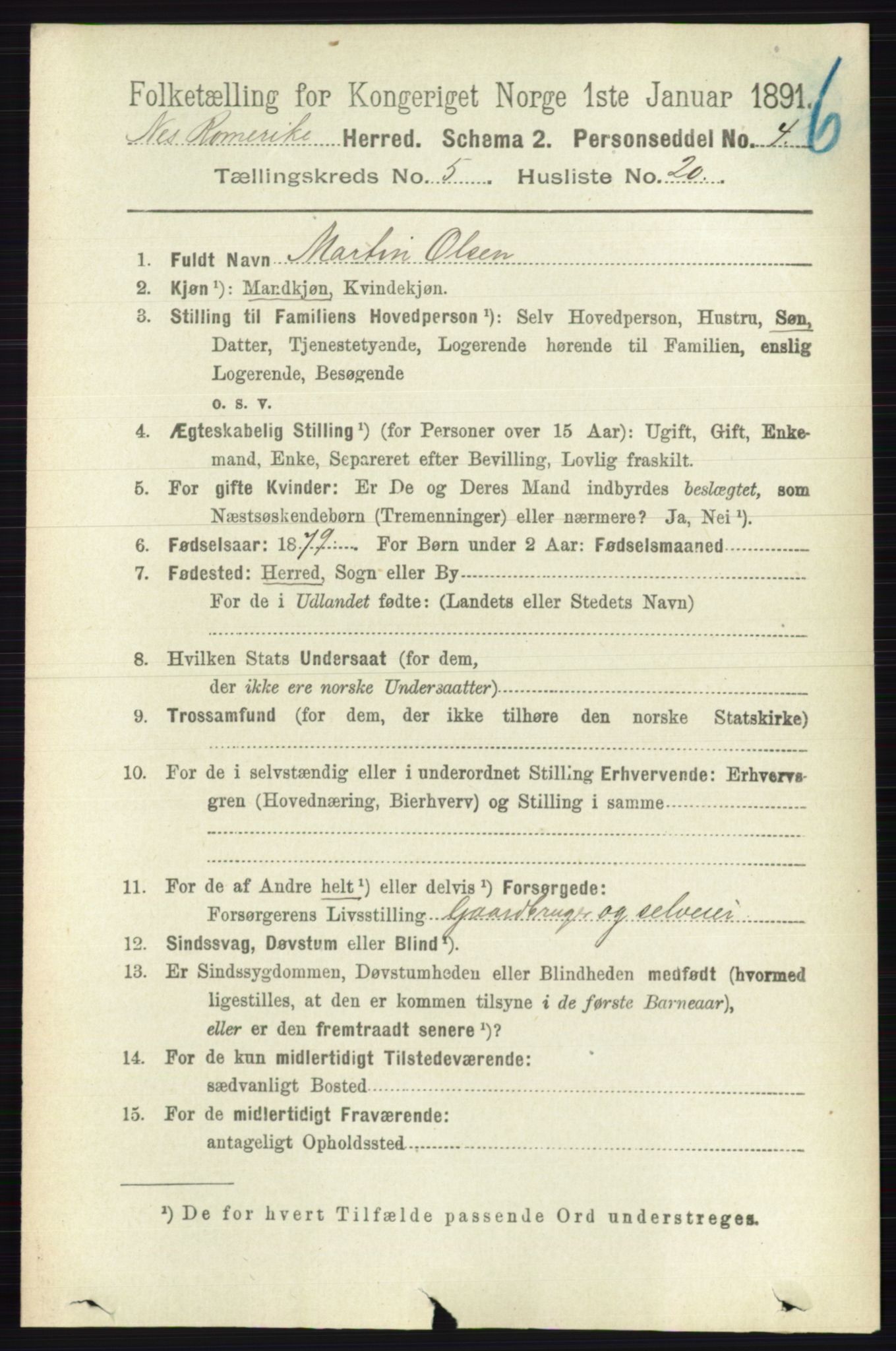 RA, 1891 census for 0236 Nes, 1891, p. 2899