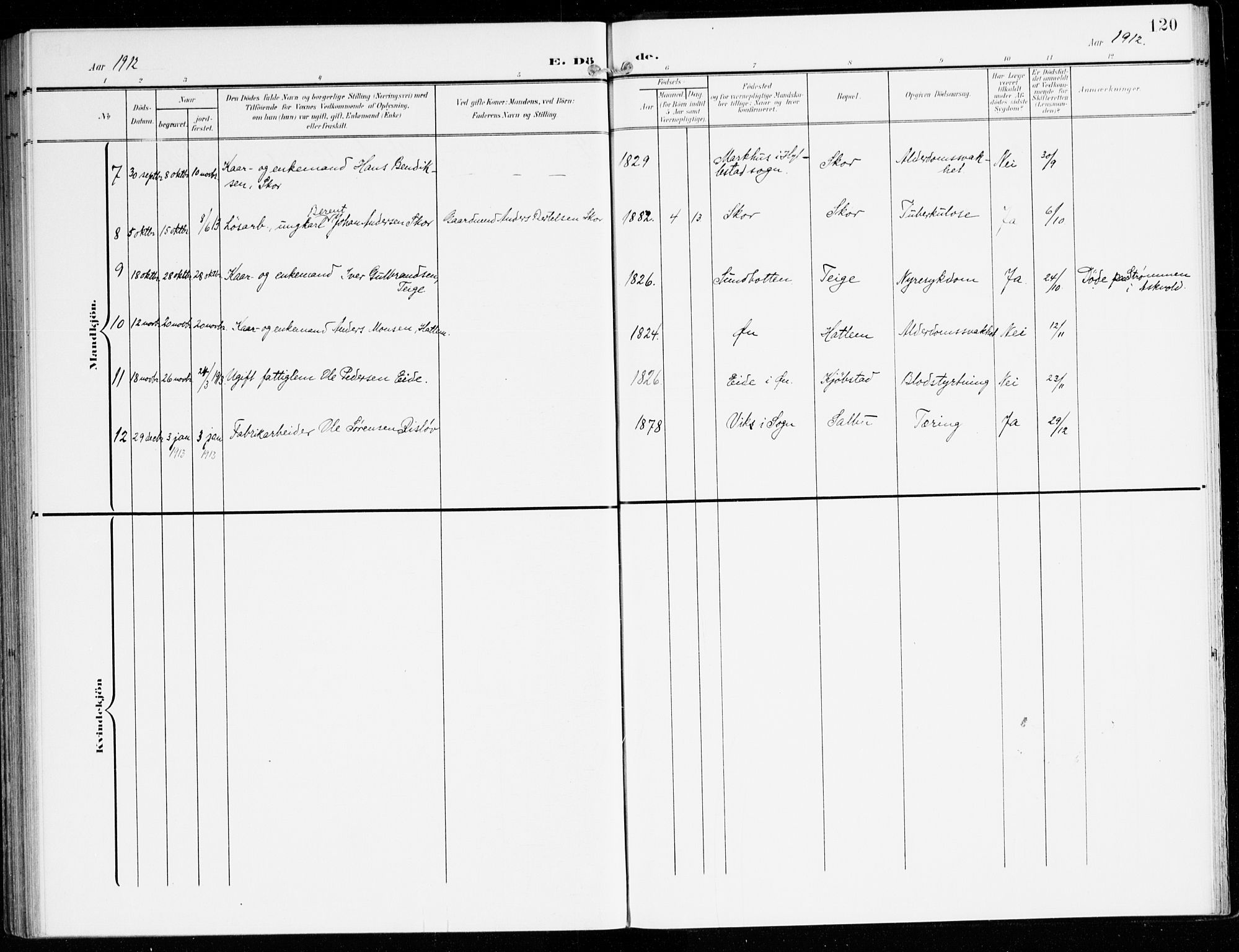 Hyllestad sokneprestembete, AV/SAB-A-80401: Parish register (official) no. D 2, 1905-1919, p. 120