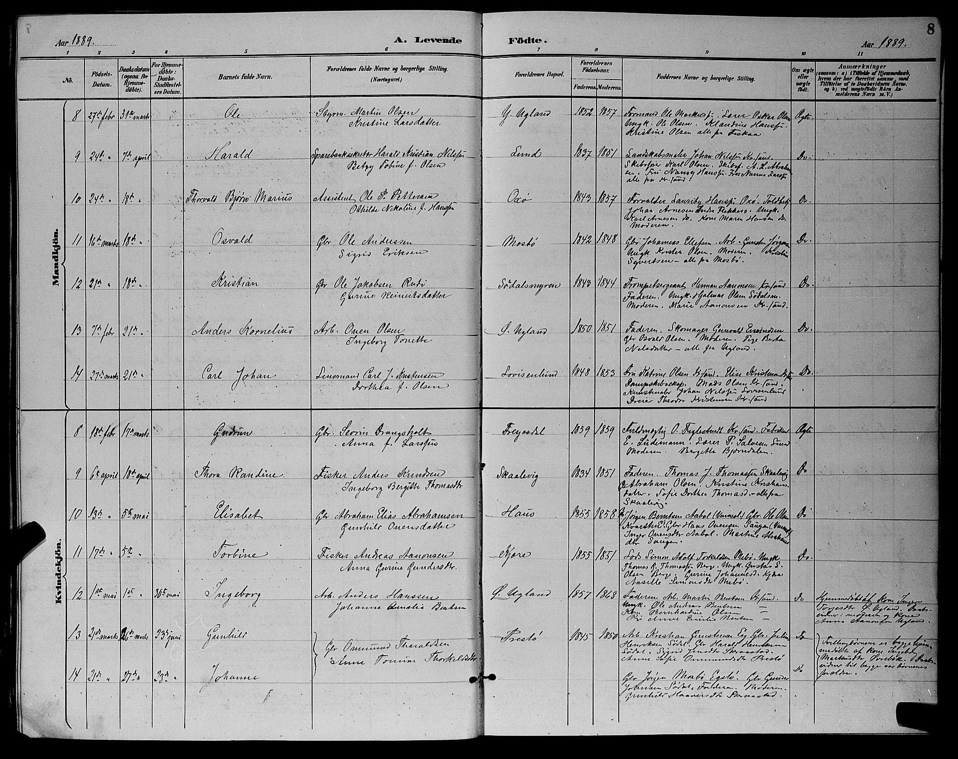 Oddernes sokneprestkontor, AV/SAK-1111-0033/F/Fb/Fba/L0008: Parish register (copy) no. B 8, 1887-1898, p. 8