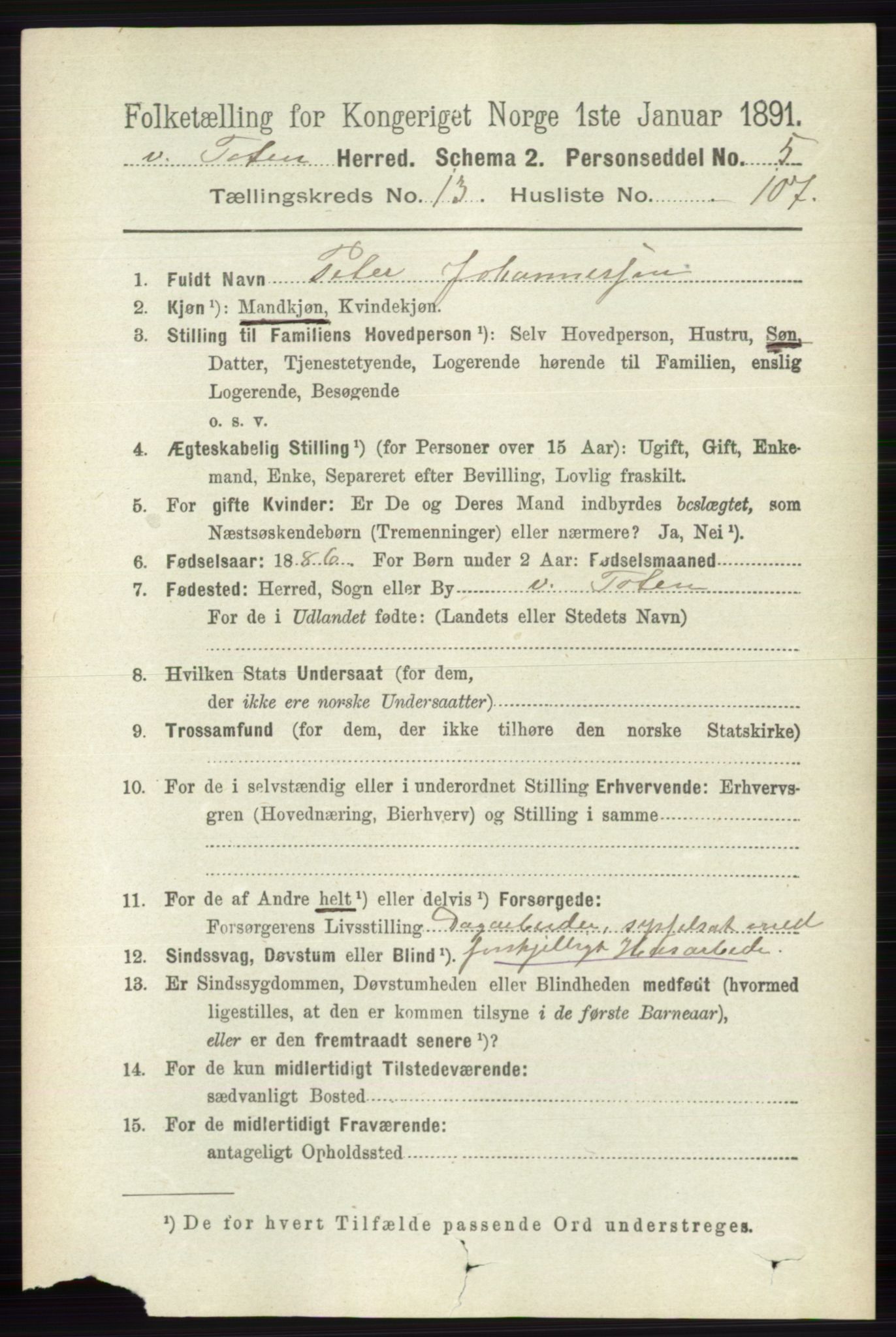 RA, 1891 census for 0529 Vestre Toten, 1891, p. 8394