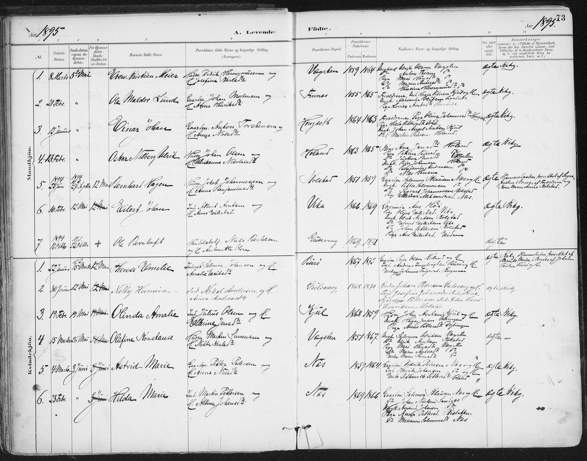 Ministerialprotokoller, klokkerbøker og fødselsregistre - Nordland, AV/SAT-A-1459/816/L0244: Parish register (official) no. 816A10, 1886-1903, p. 73