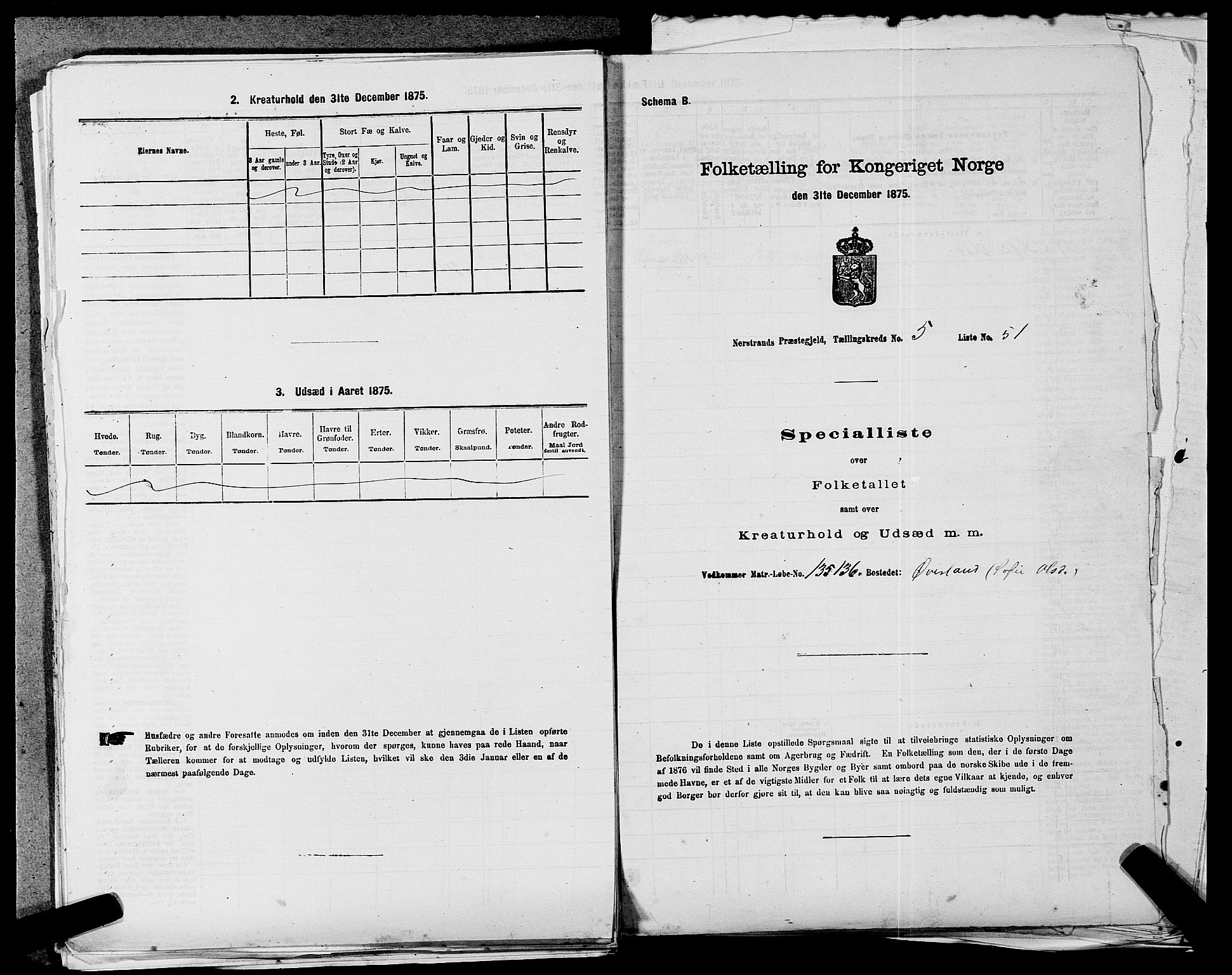 SAST, 1875 census for 1139P Nedstrand, 1875, p. 438