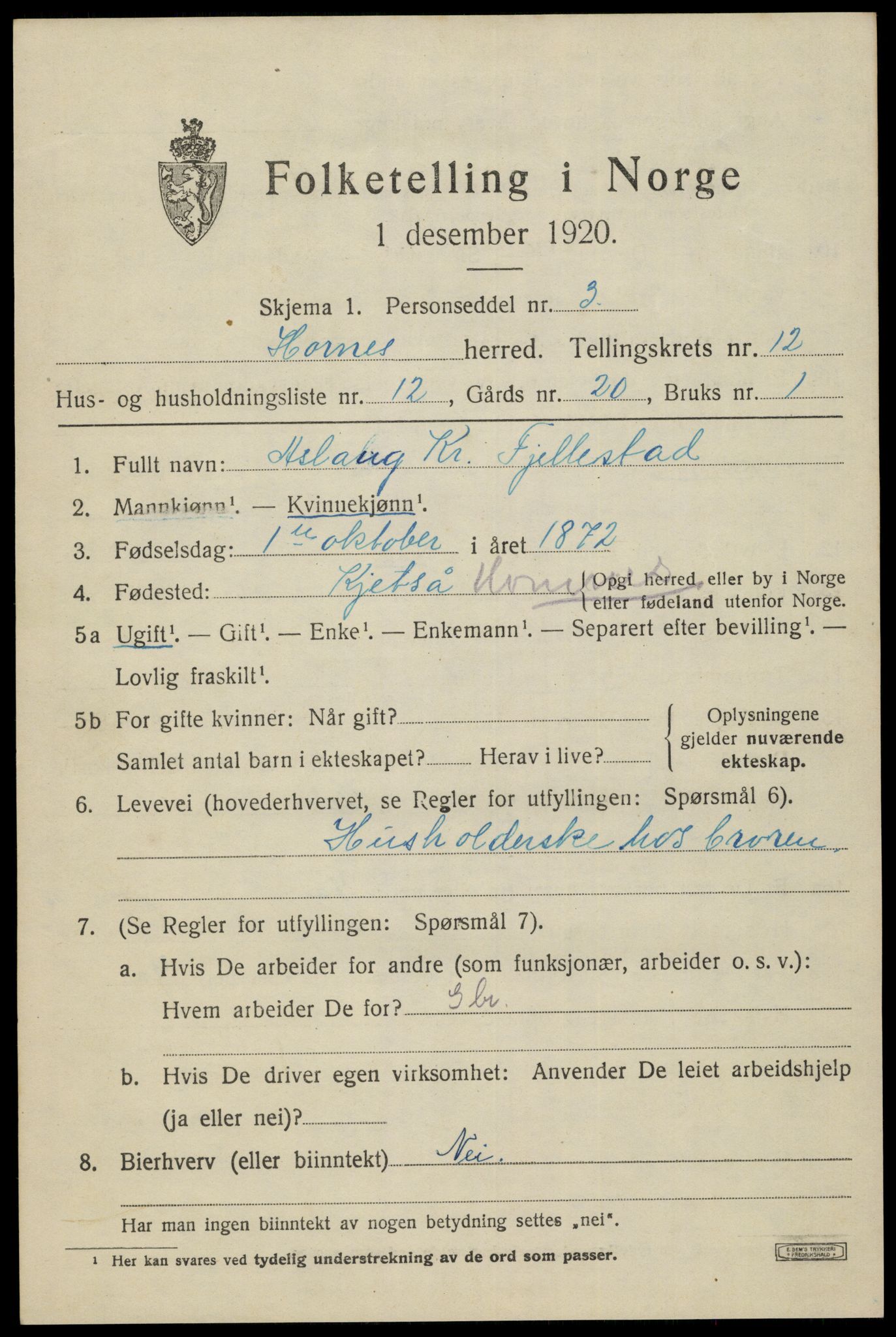 SAK, 1920 census for Hornnes, 1920, p. 3017