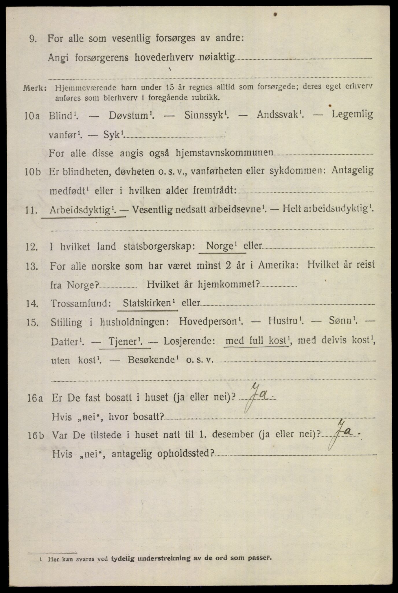 SAKO, 1920 census for Hemsedal, 1920, p. 3111