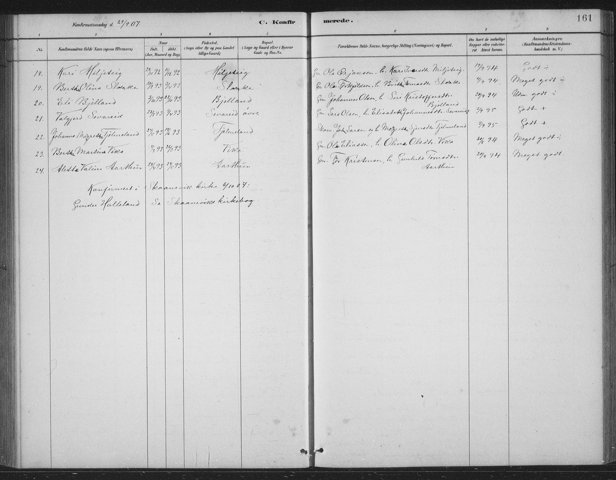 Skånevik sokneprestembete, AV/SAB-A-77801/H/Hab: Parish register (copy) no. B 2, 1881-1920, p. 161