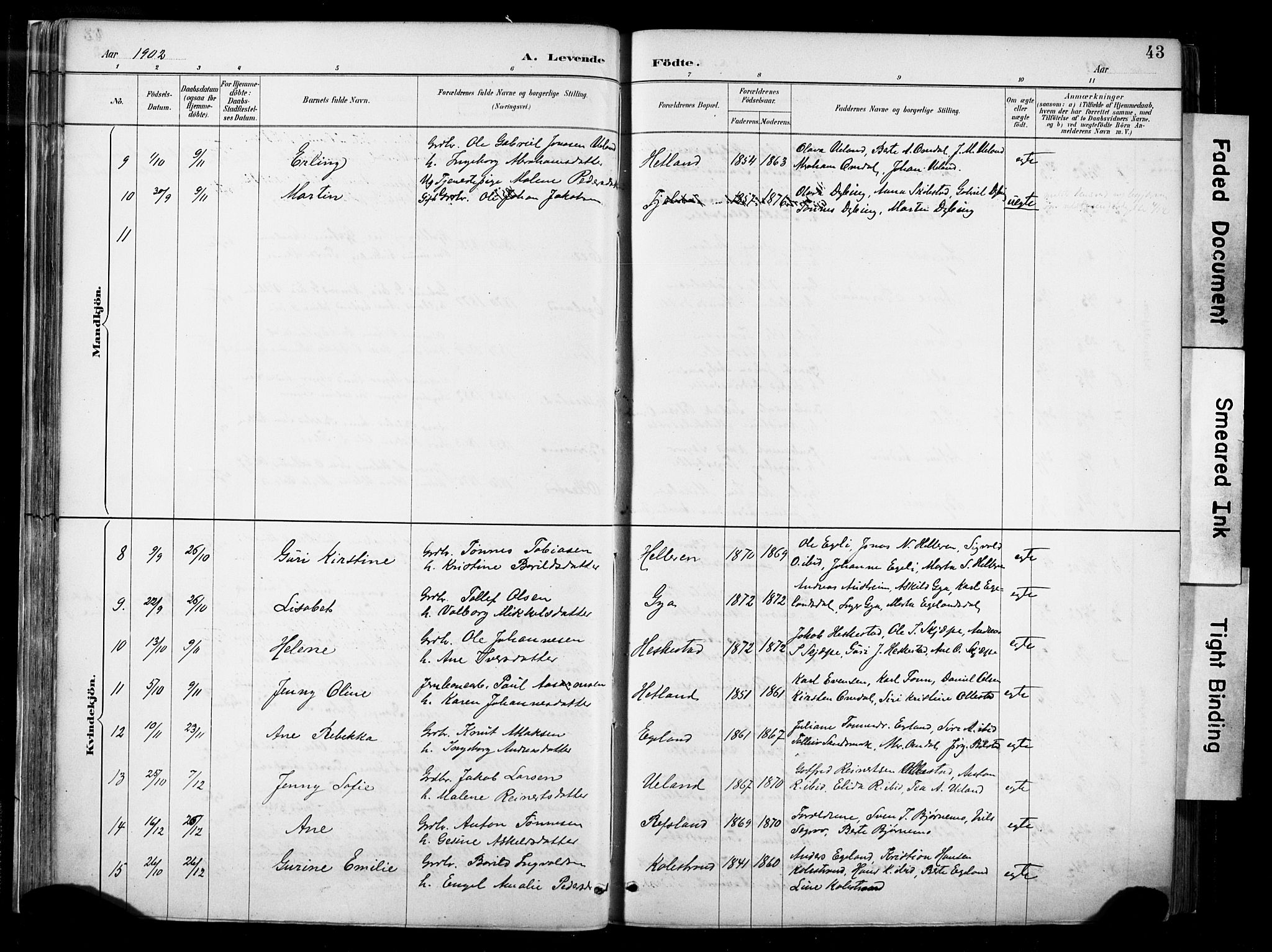 Lund sokneprestkontor, AV/SAST-A-101809/S06/L0012: Parish register (official) no. A 11, 1887-1921, p. 43