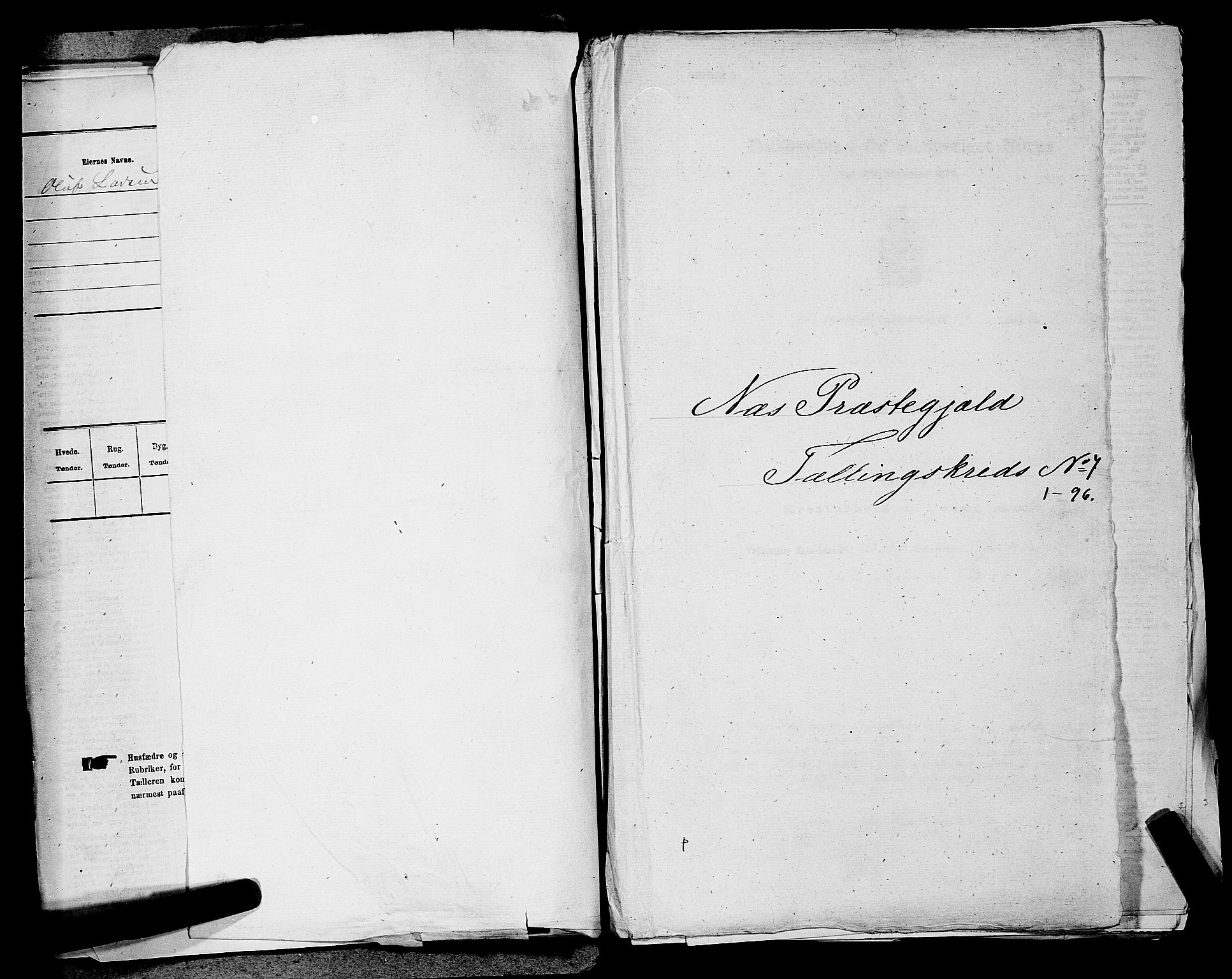 RA, 1875 census for 0236P Nes, 1875, p. 1026