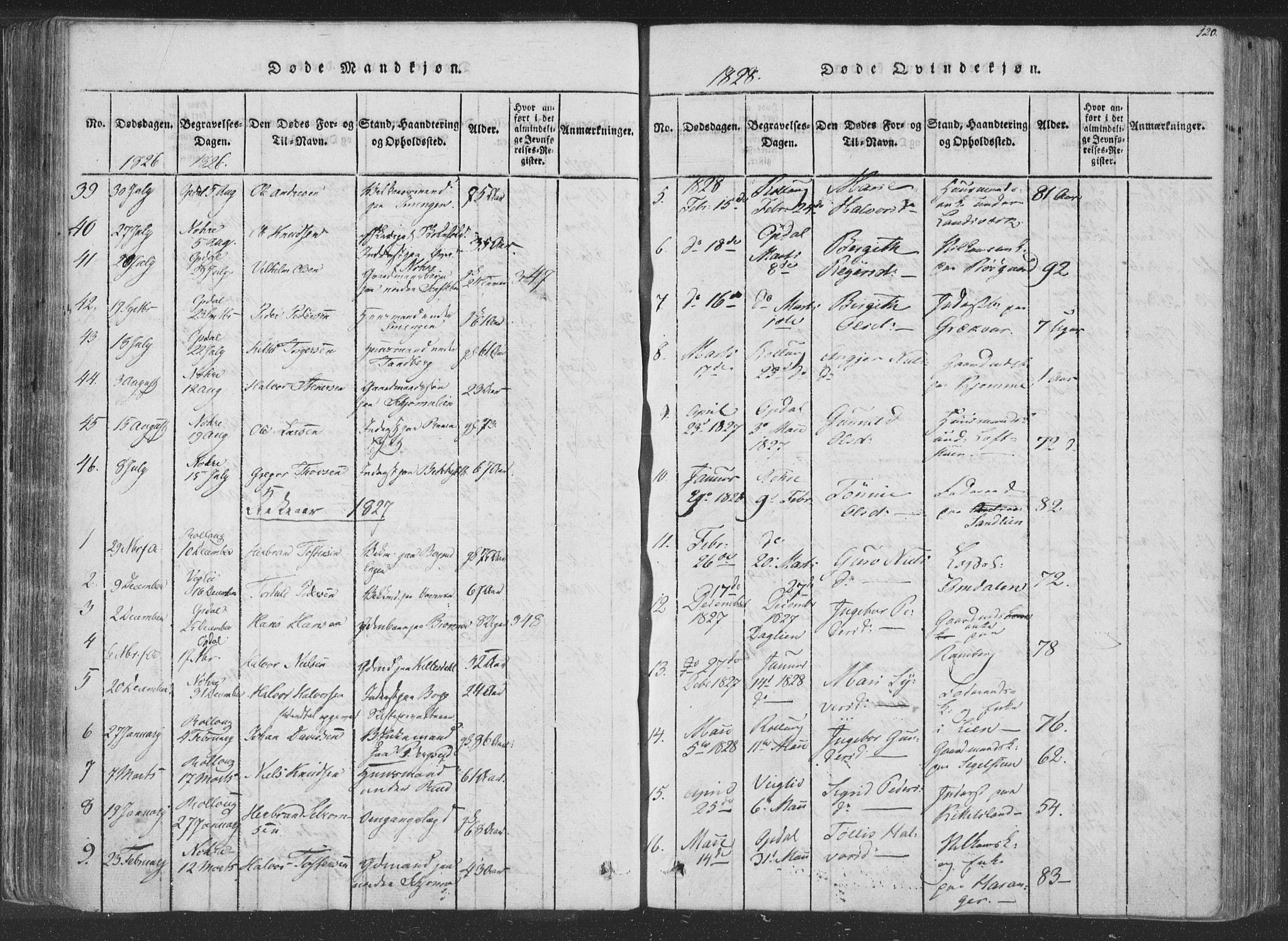 Rollag kirkebøker, SAKO/A-240/F/Fa/L0006: Parish register (official) no. I 6, 1814-1828, p. 120