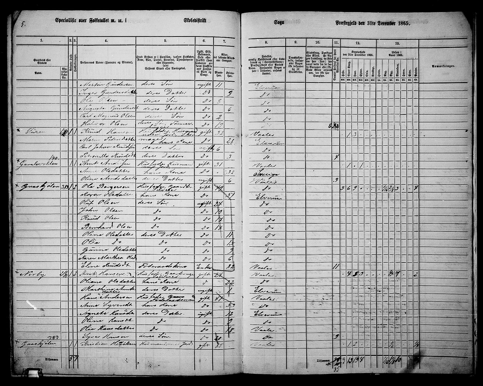RA, 1865 census for Elverum, 1865, p. 260