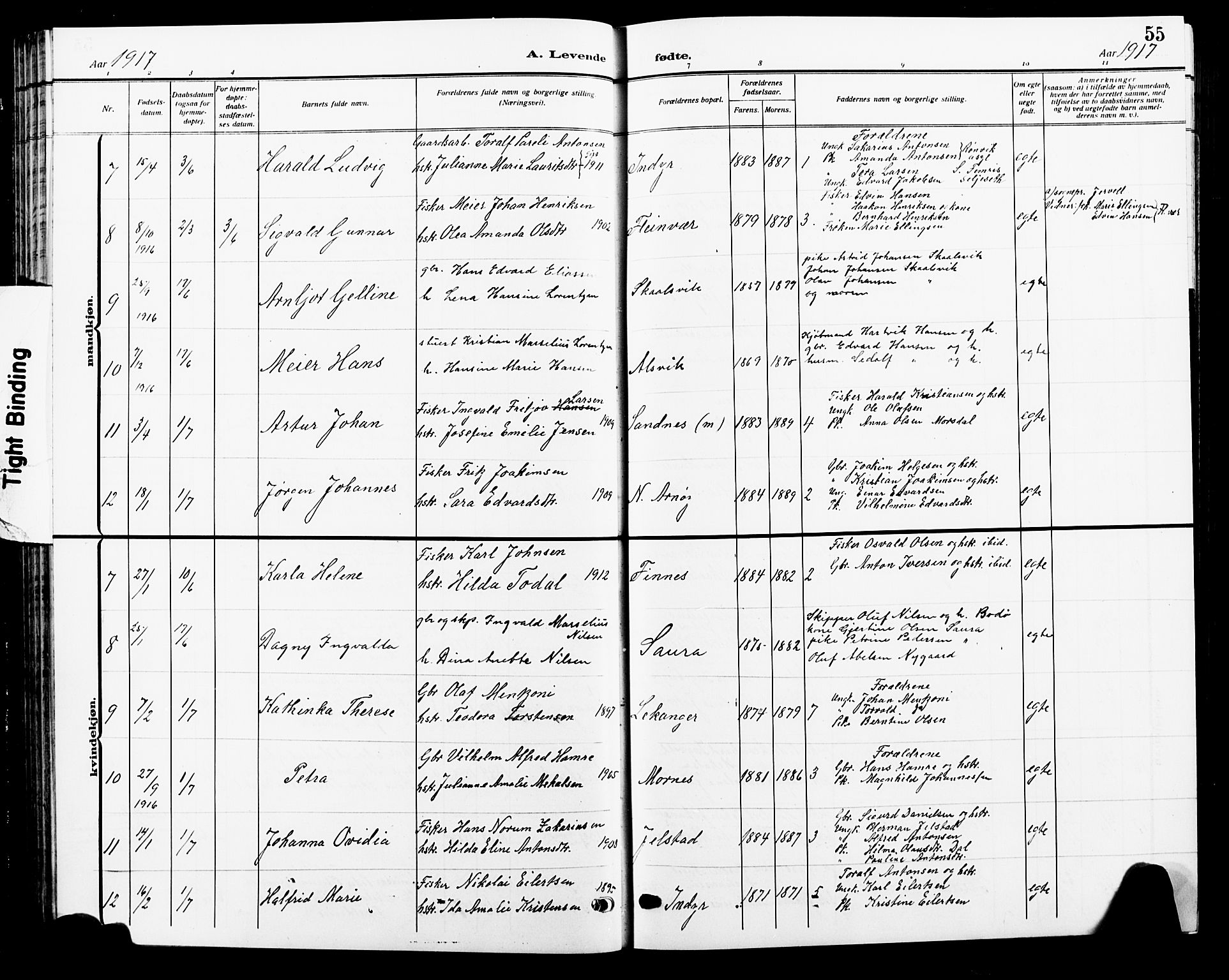 Ministerialprotokoller, klokkerbøker og fødselsregistre - Nordland, AV/SAT-A-1459/805/L0110: Parish register (copy) no. 805C06, 1909-1924, p. 55