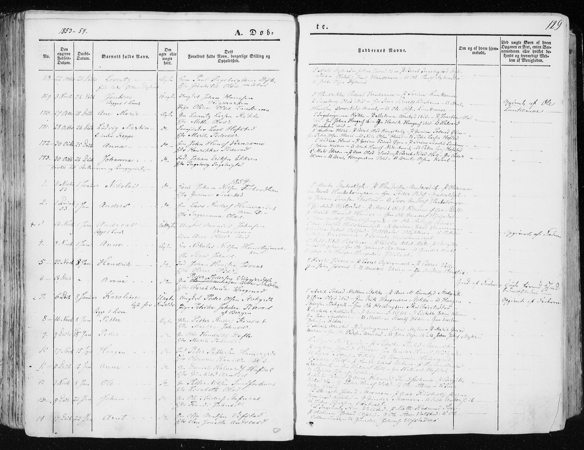 Ministerialprotokoller, klokkerbøker og fødselsregistre - Nord-Trøndelag, AV/SAT-A-1458/709/L0074: Parish register (official) no. 709A14, 1845-1858, p. 129