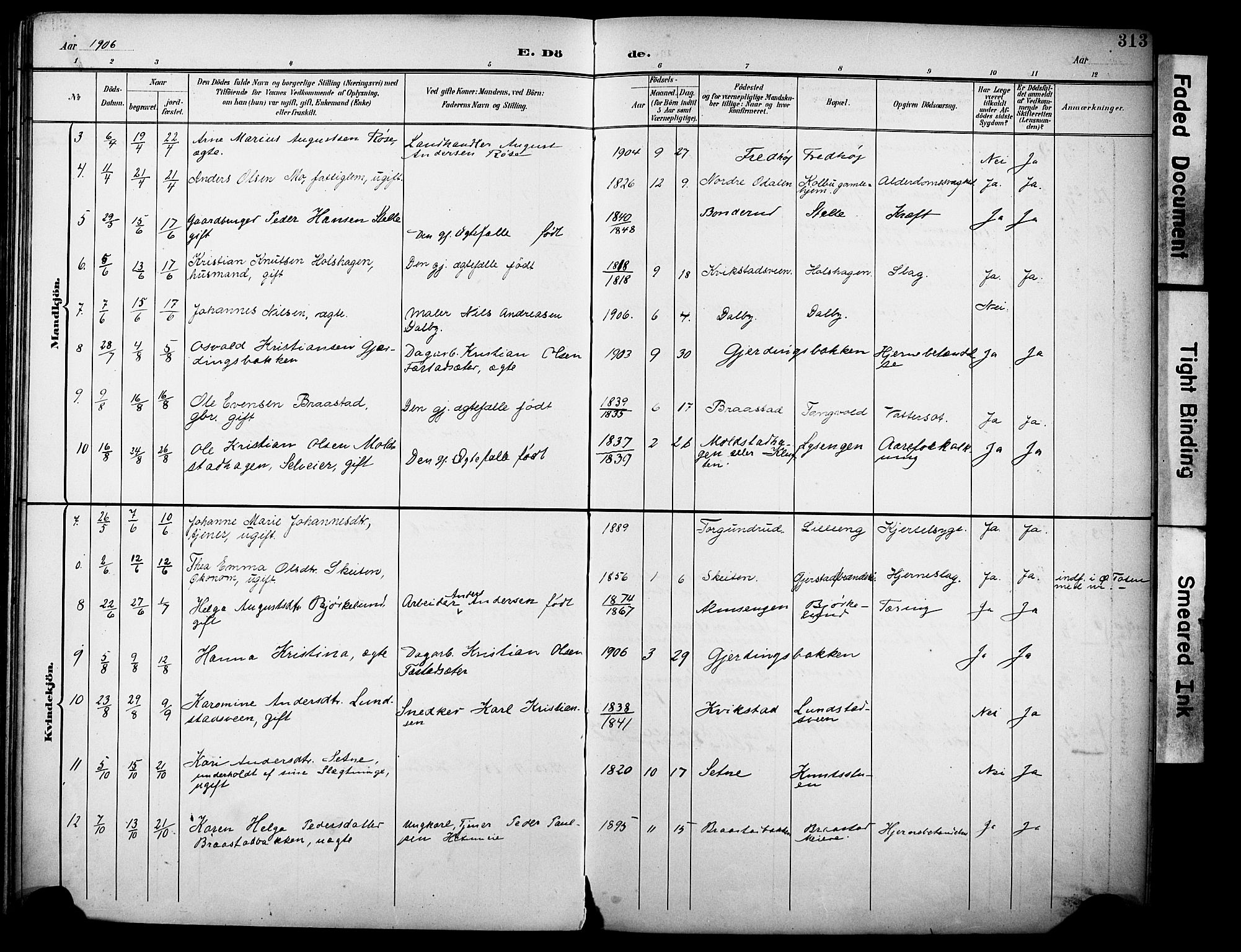 Vestre Toten prestekontor, SAH/PREST-108/H/Ha/Haa/L0013: Parish register (official) no. 13, 1895-1911, p. 313