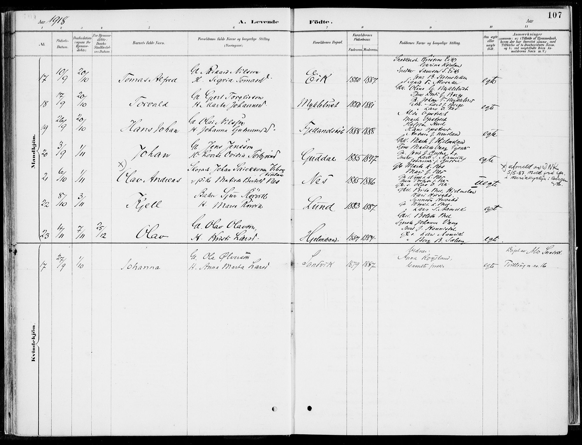 Kvinnherad sokneprestembete, AV/SAB-A-76401/H/Haa: Parish register (official) no. B  1, 1887-1921, p. 107