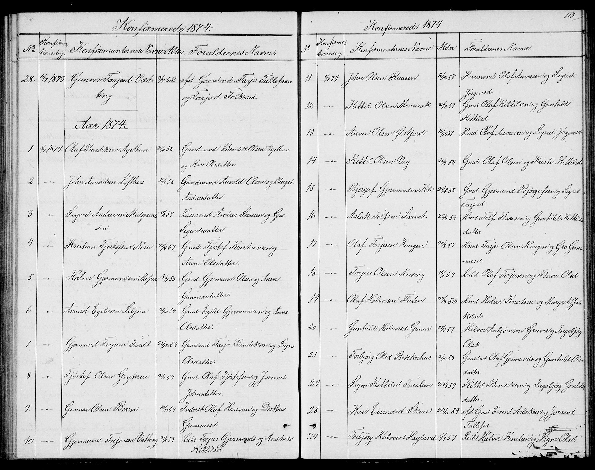 Fyresdal kirkebøker, SAKO/A-263/G/Ga/L0004: Parish register (copy) no. I 4, 1864-1892, p. 113