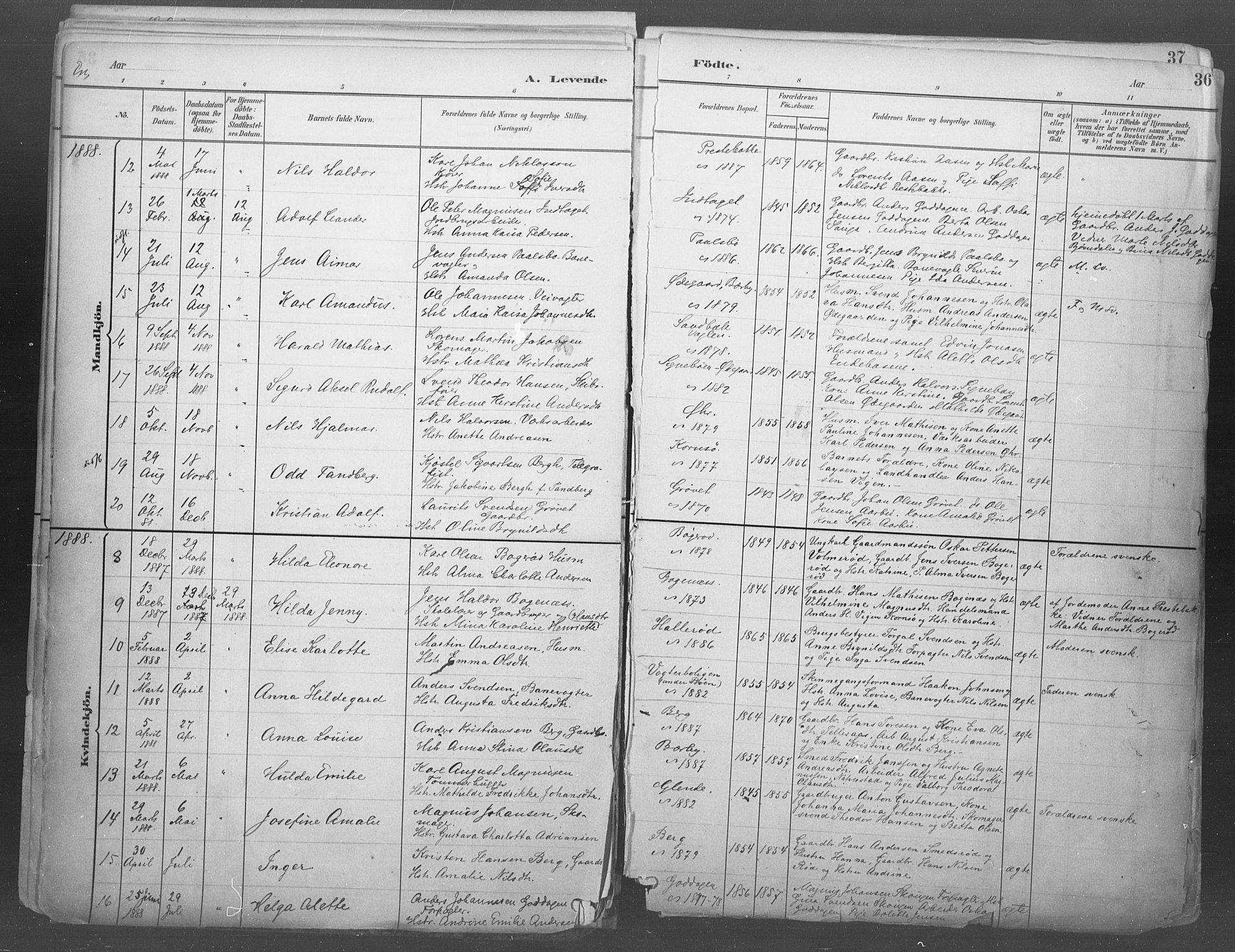 Idd prestekontor Kirkebøker, AV/SAO-A-10911/F/Fb/L0002: Parish register (official) no. II 2, 1882-1923, p. 36