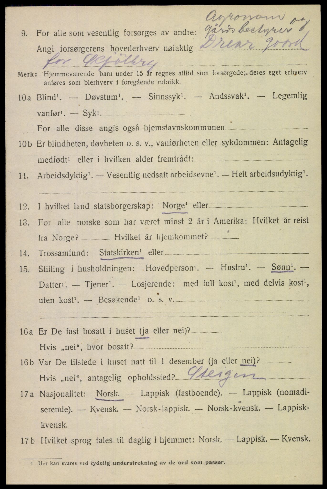 SAT, 1920 census for Bodin, 1920, p. 9321