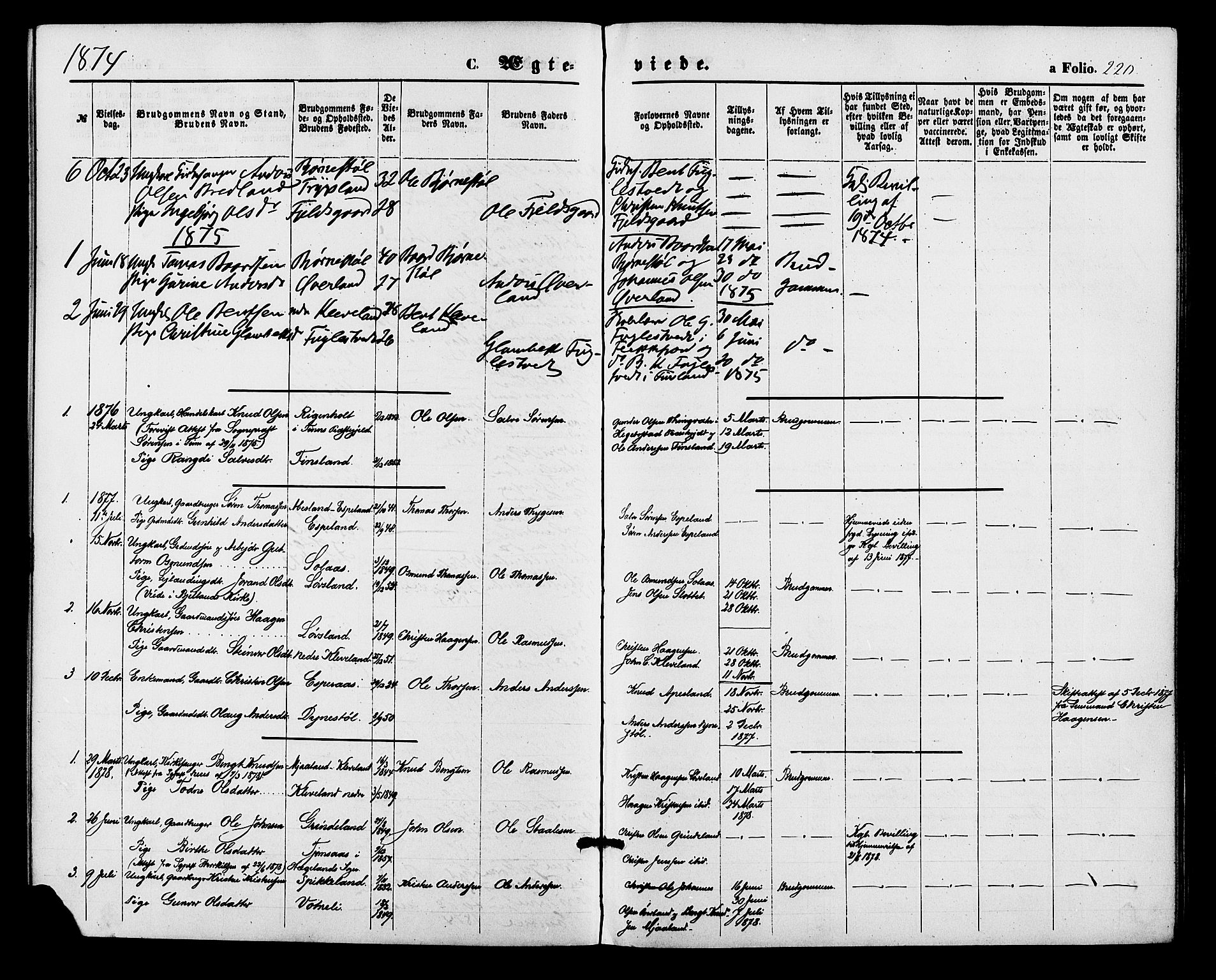 Bjelland sokneprestkontor, AV/SAK-1111-0005/F/Fa/Fab/L0003: Parish register (official) no. A 3, 1870-1887, p. 220