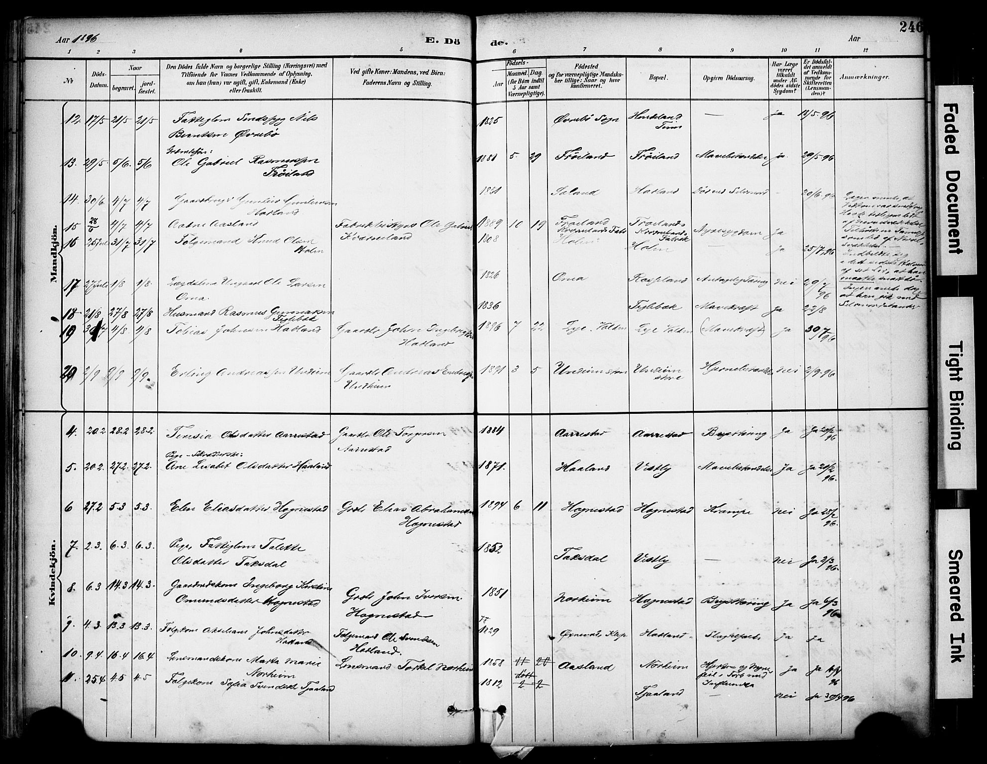 Lye sokneprestkontor, AV/SAST-A-101794/001/30BA/L0011: Parish register (official) no. A 9, 1893-1903, p. 246