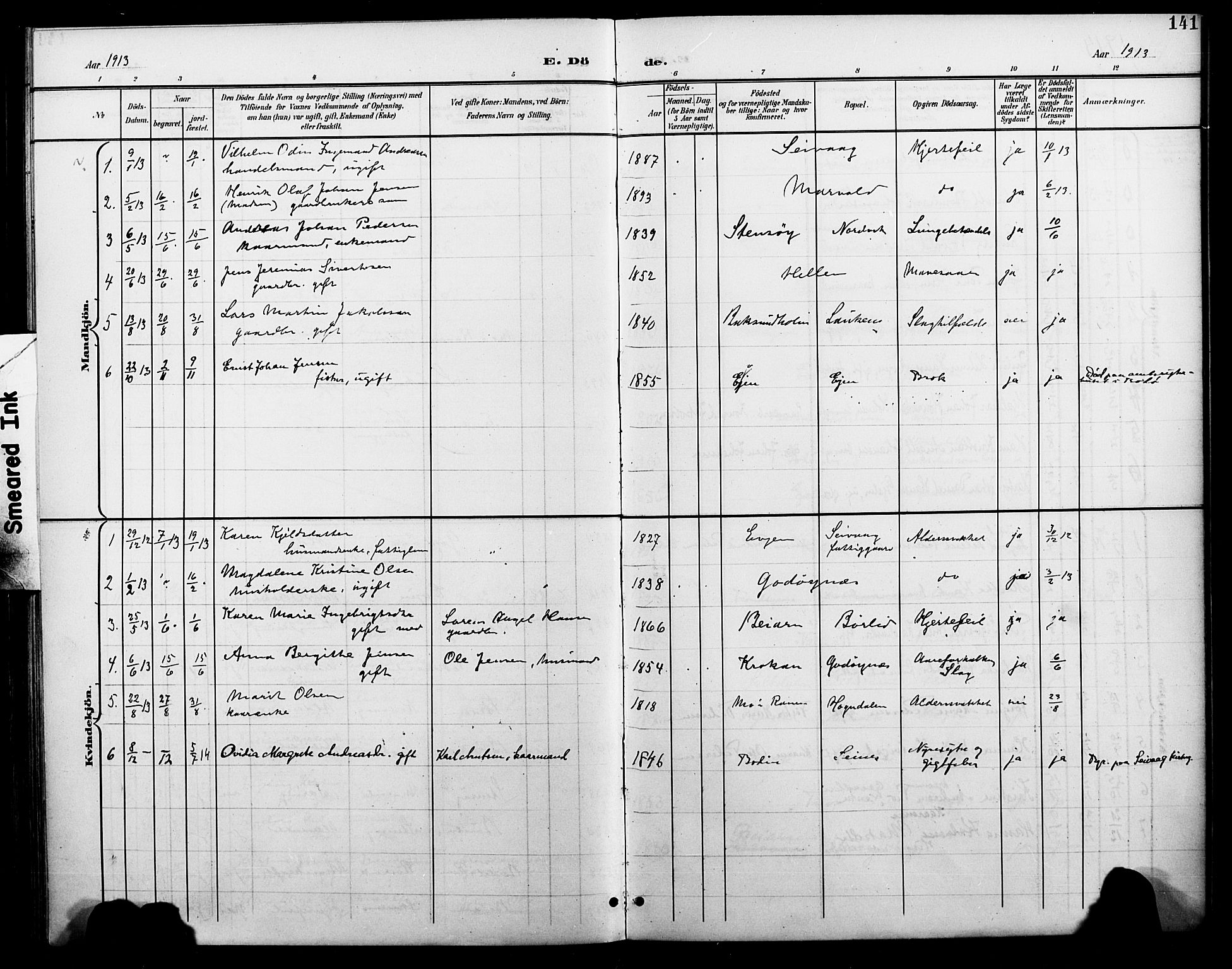 Ministerialprotokoller, klokkerbøker og fødselsregistre - Nordland, SAT/A-1459/804/L0088: Parish register (copy) no. 804C01, 1901-1917, p. 141