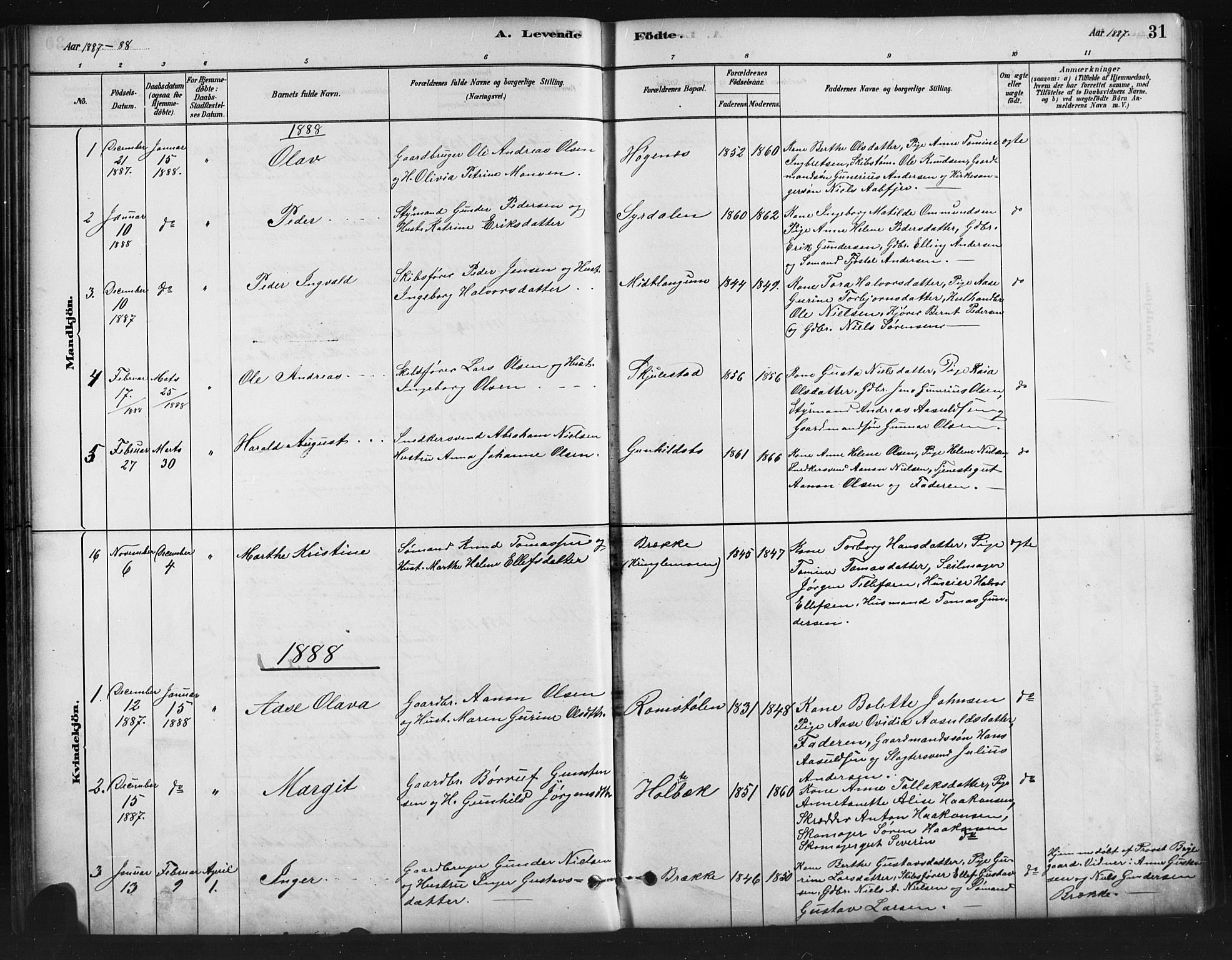 Austre Moland sokneprestkontor, SAK/1111-0001/F/Fb/Fba/L0003: Parish register (copy) no. B 3, 1879-1914, p. 31