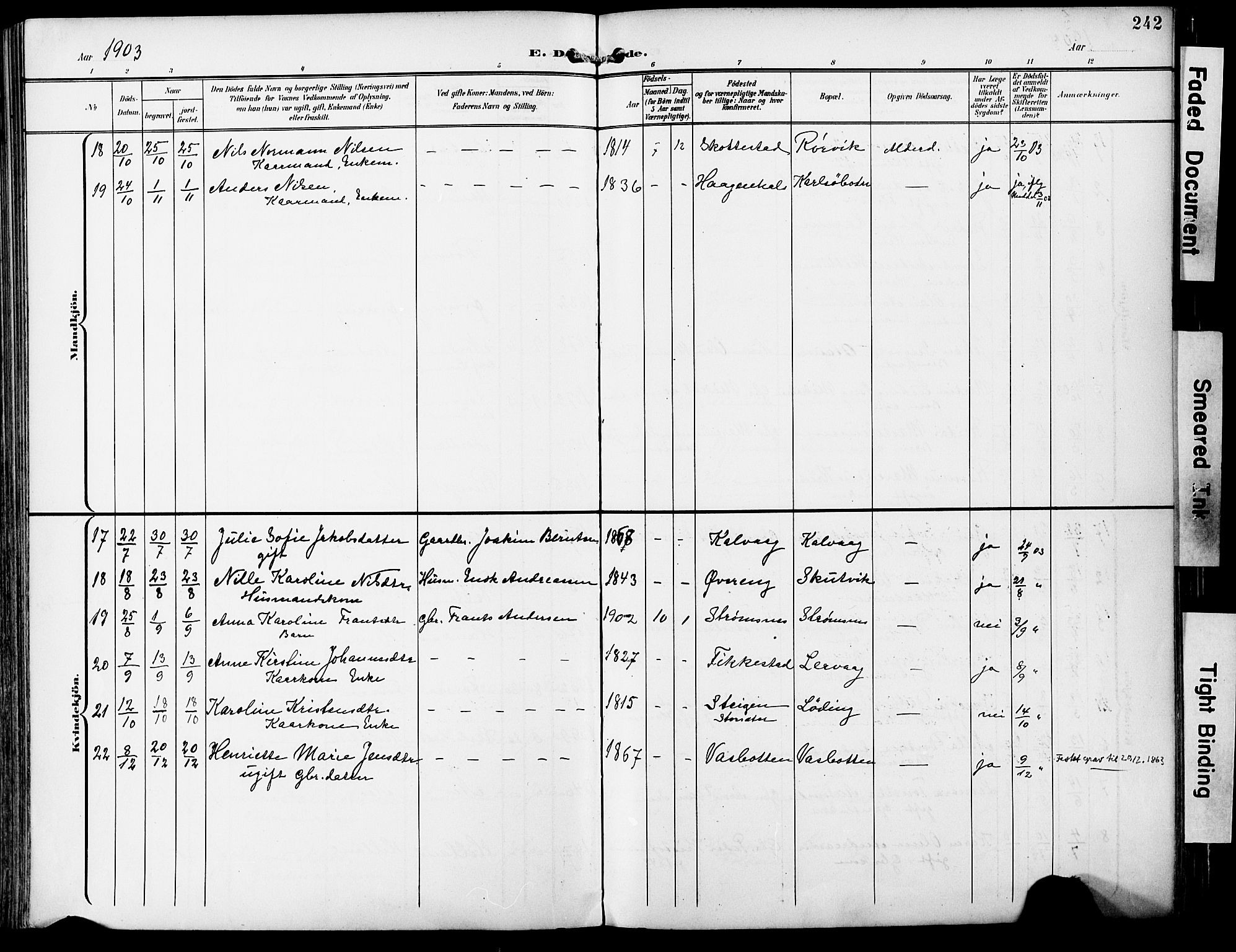Ministerialprotokoller, klokkerbøker og fødselsregistre - Nordland, SAT/A-1459/859/L0848: Parish register (official) no. 859A08, 1900-1912, p. 242