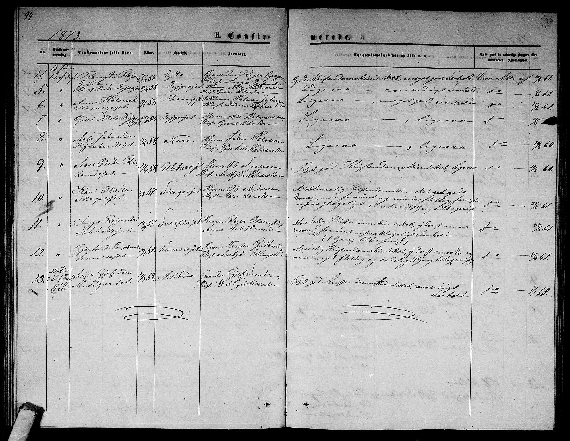 Nore kirkebøker, AV/SAKO-A-238/G/Ga/L0001: Parish register (copy) no. I 1, 1872-1877, p. 94