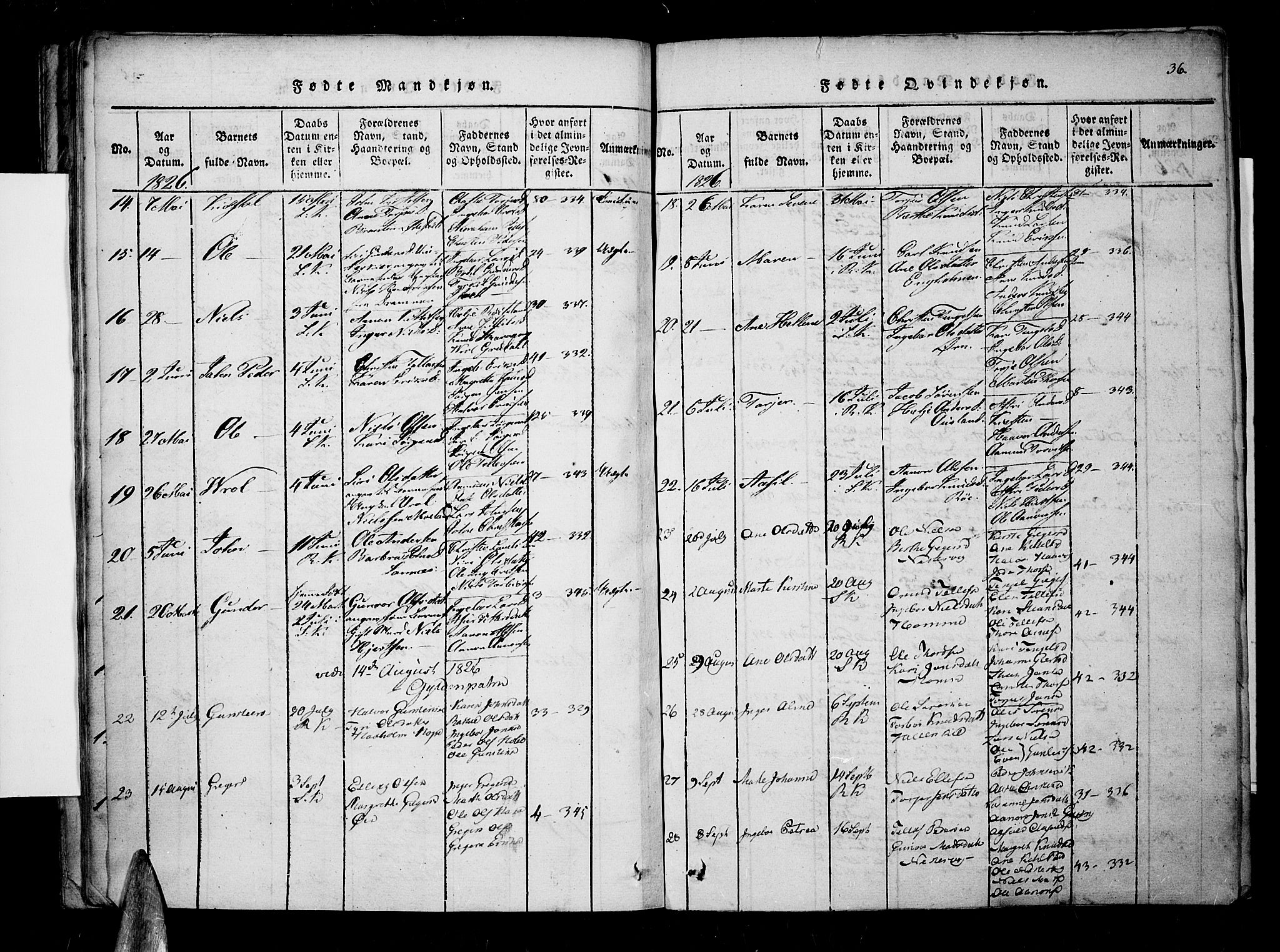 Søndeled sokneprestkontor, AV/SAK-1111-0038/F/Fa/L0001: Parish register (official) no. A 1, 1816-1838, p. 36