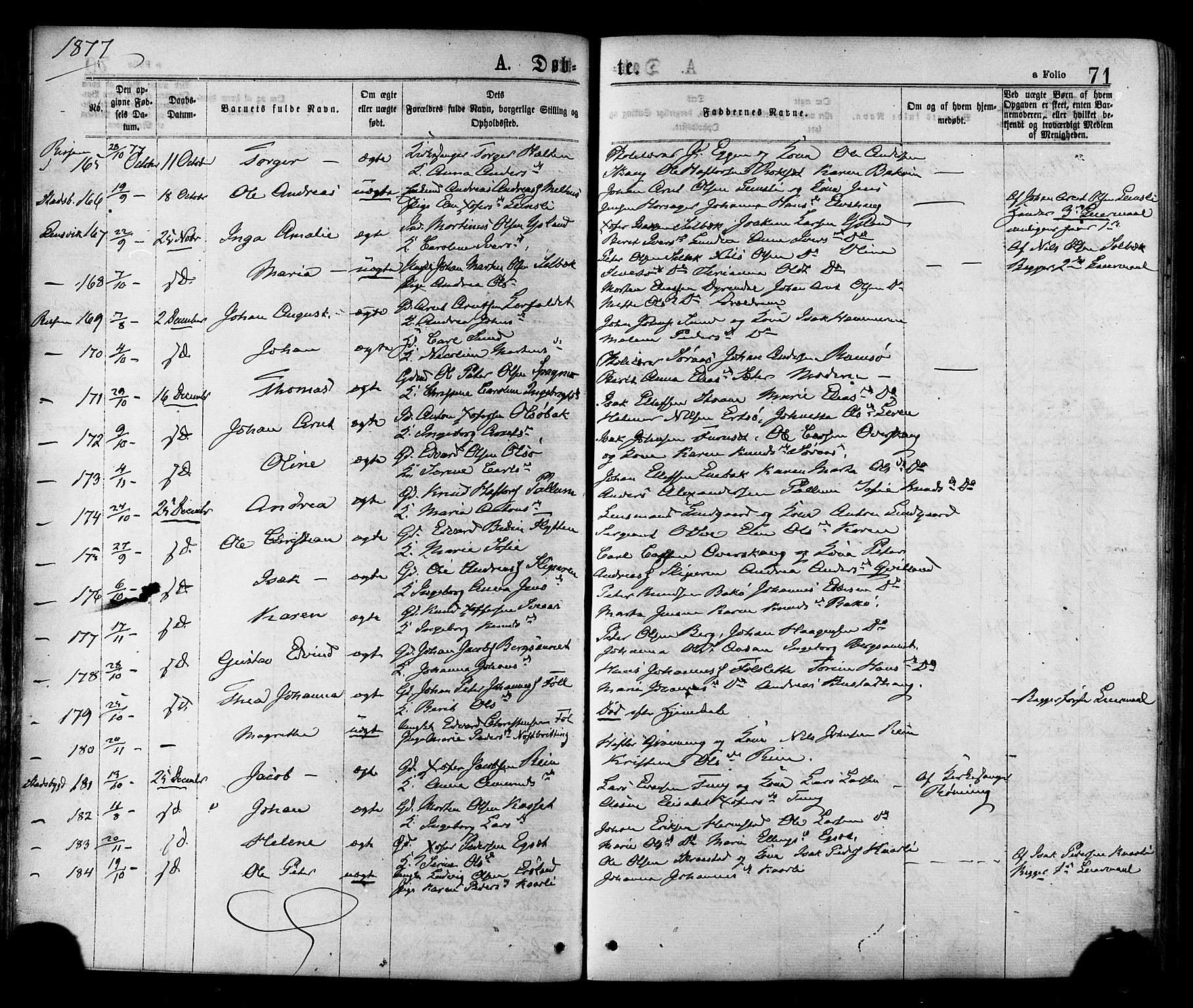 Ministerialprotokoller, klokkerbøker og fødselsregistre - Sør-Trøndelag, AV/SAT-A-1456/646/L0613: Parish register (official) no. 646A11, 1870-1884, p. 71