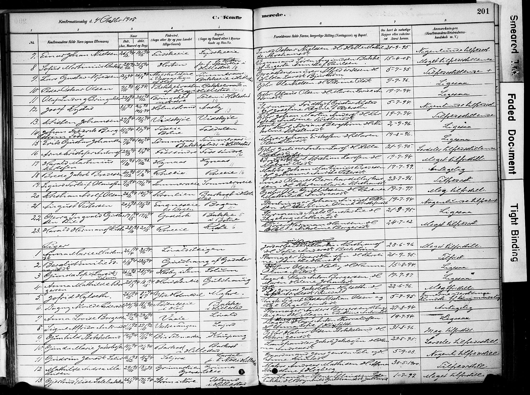 Botne kirkebøker, AV/SAKO-A-340/F/Fa/L0007: Parish register (official) no. I 7, 1878-1910, p. 201