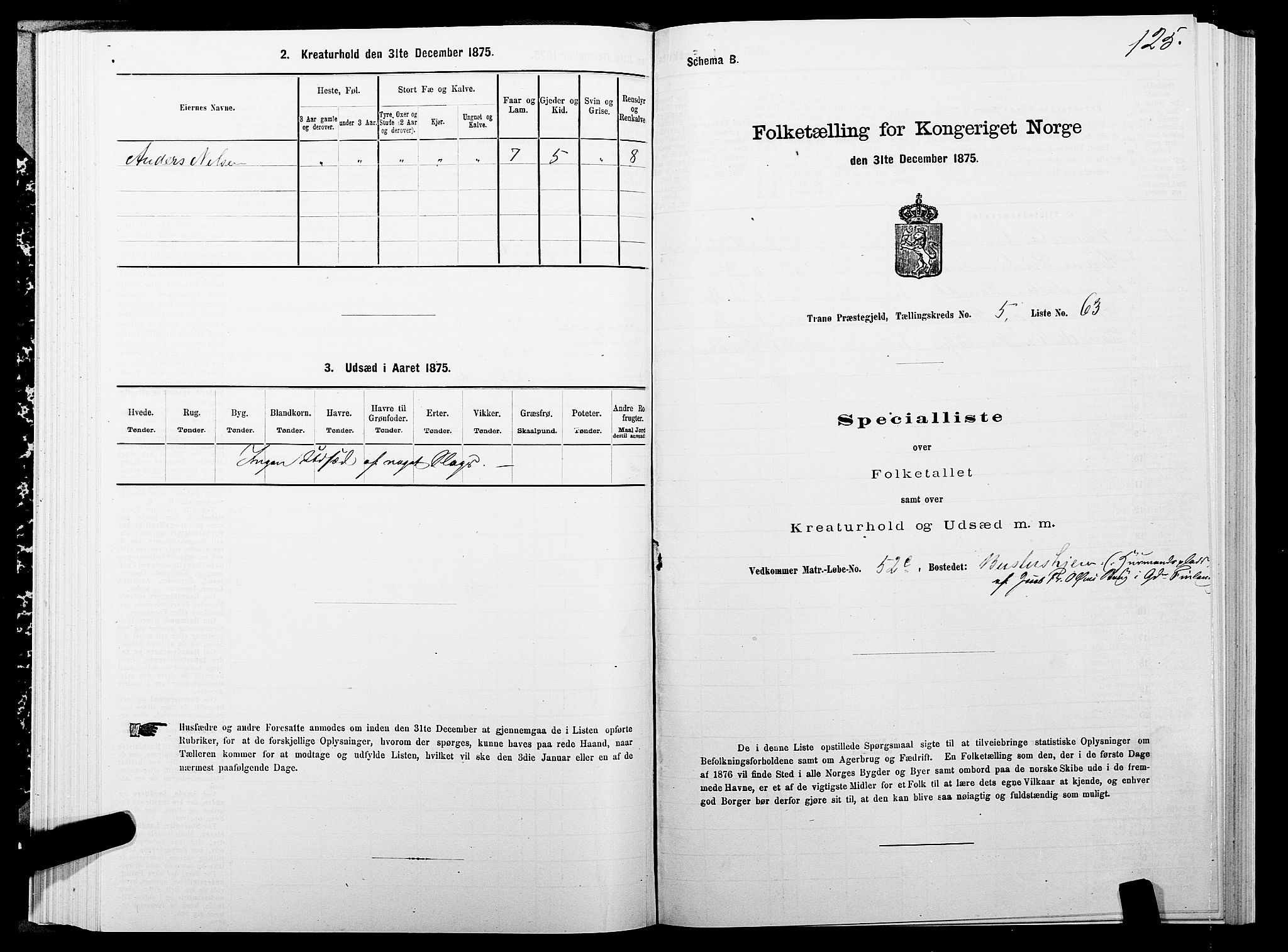 SATØ, 1875 census for 1927P Tranøy, 1875, p. 3125