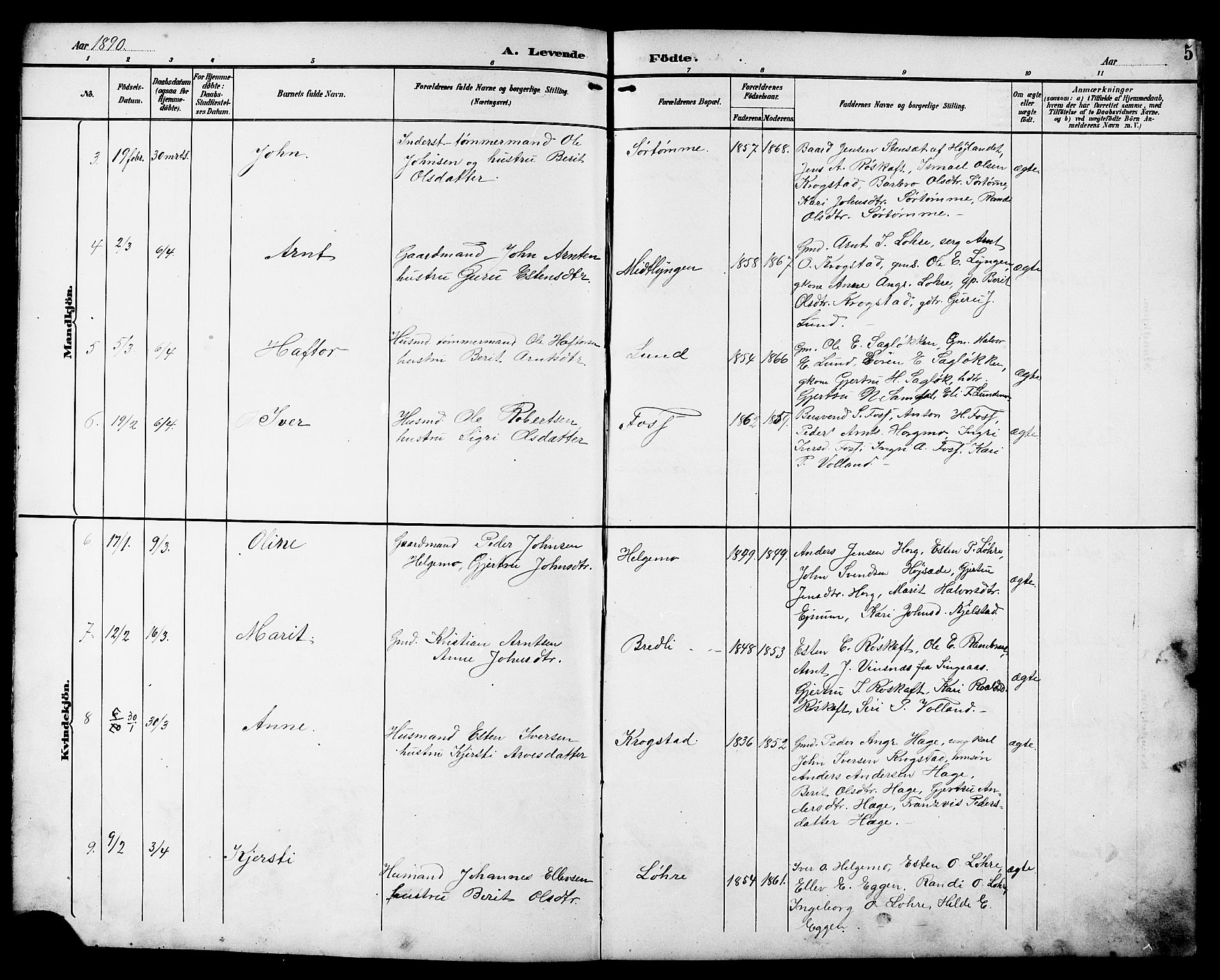 Ministerialprotokoller, klokkerbøker og fødselsregistre - Sør-Trøndelag, AV/SAT-A-1456/692/L1111: Parish register (copy) no. 692C06, 1890-1904, p. 5