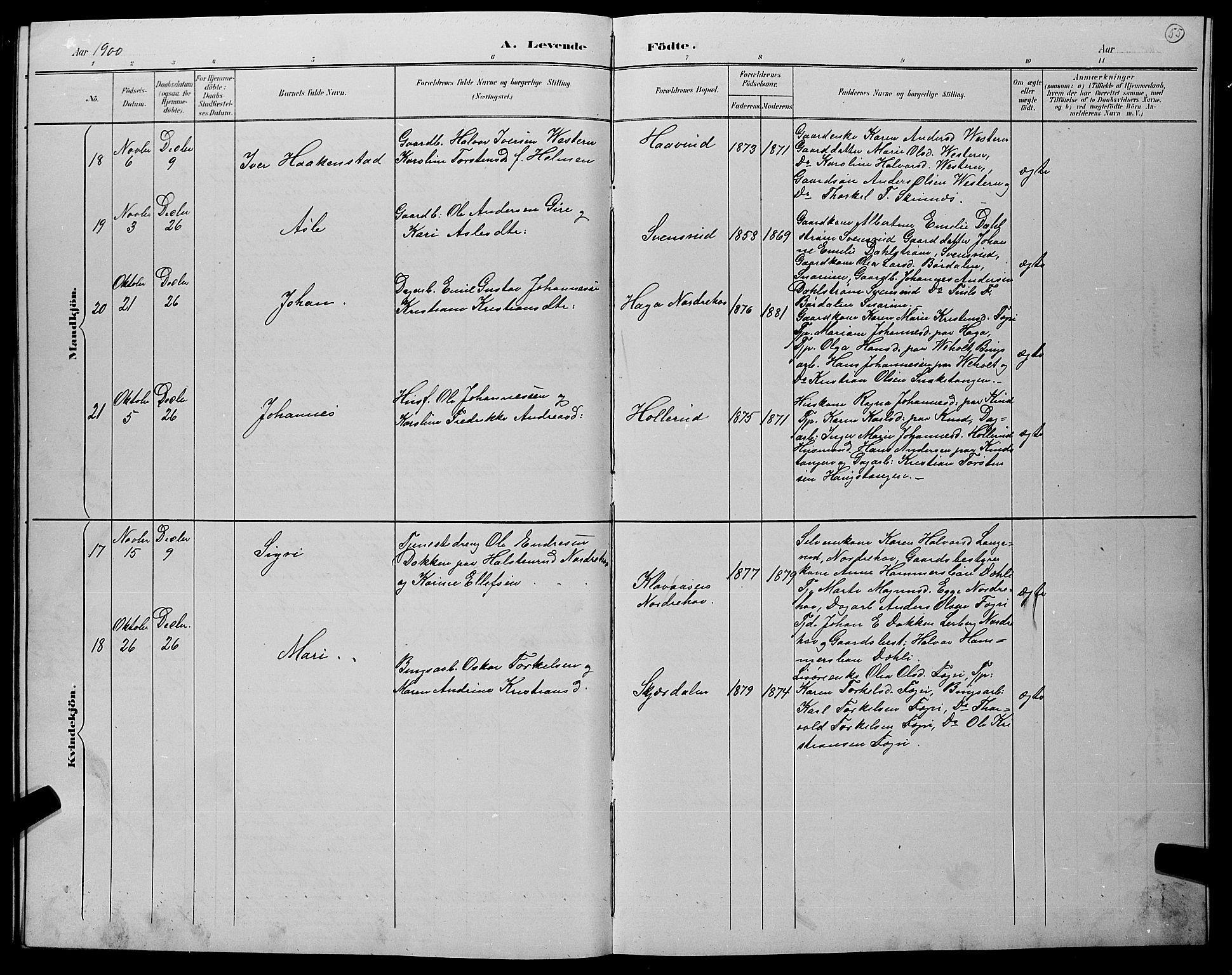 Hole kirkebøker, AV/SAKO-A-228/G/Gb/L0003: Parish register (copy) no. II 3, 1890-1901, p. 55