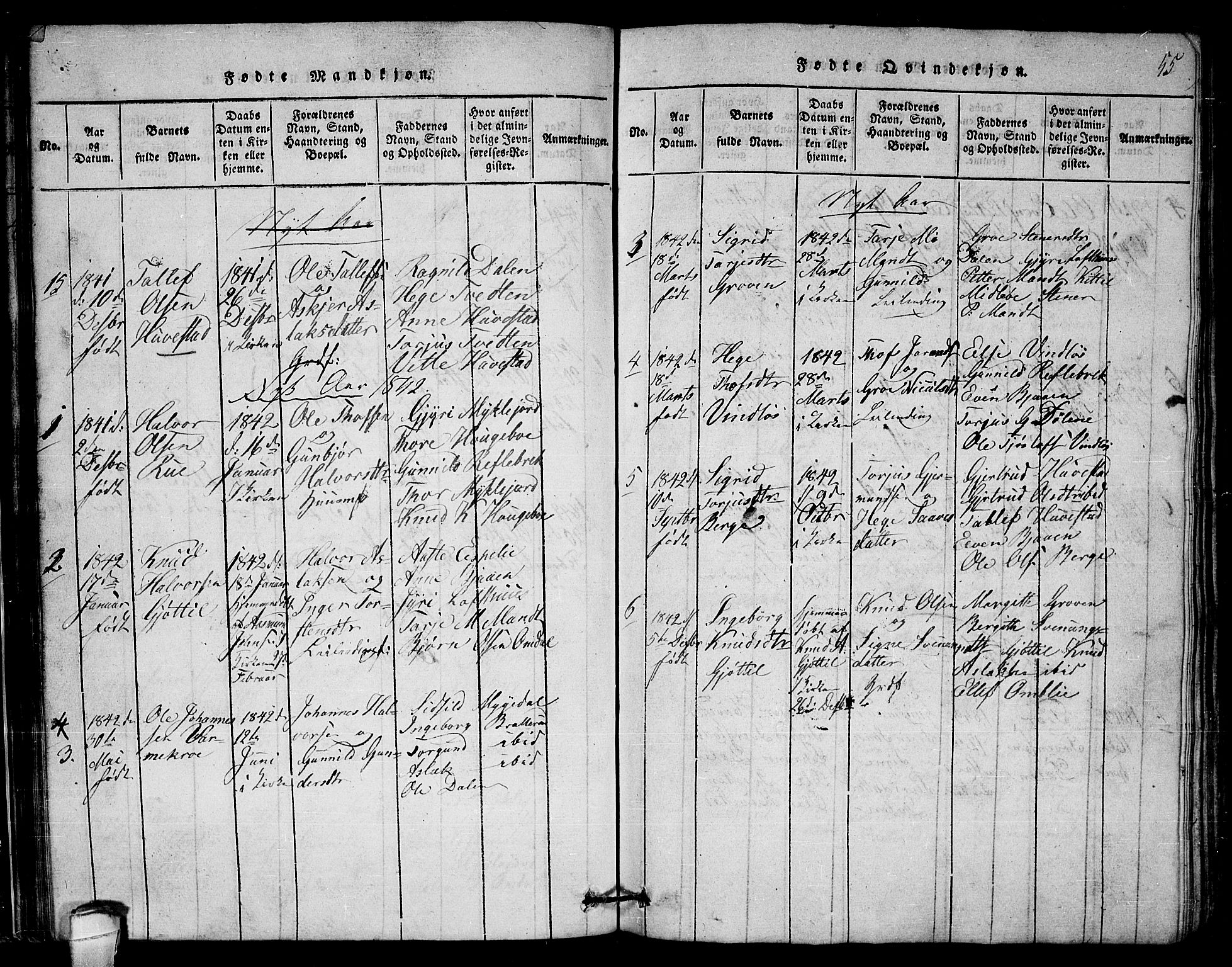 Lårdal kirkebøker, SAKO/A-284/G/Gb/L0001: Parish register (copy) no. II 1, 1815-1865, p. 55