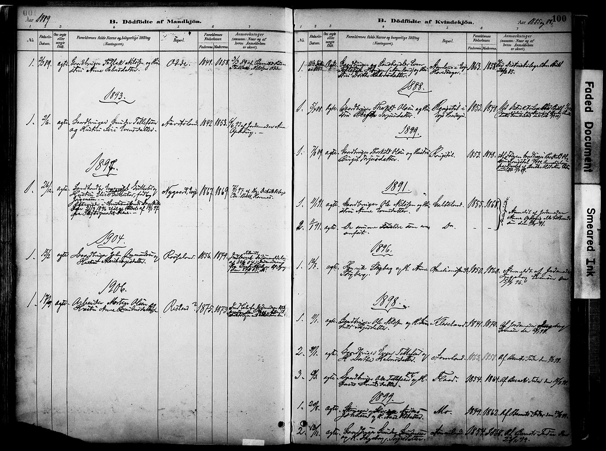 Evje sokneprestkontor, AV/SAK-1111-0008/F/Fa/Faa/L0007: Parish register (official) no. A 7, 1884-1909, p. 100