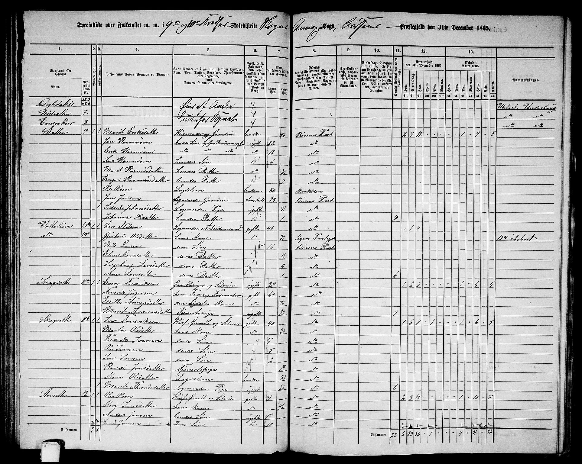 RA, 1865 census for Børsa, 1865, p. 103