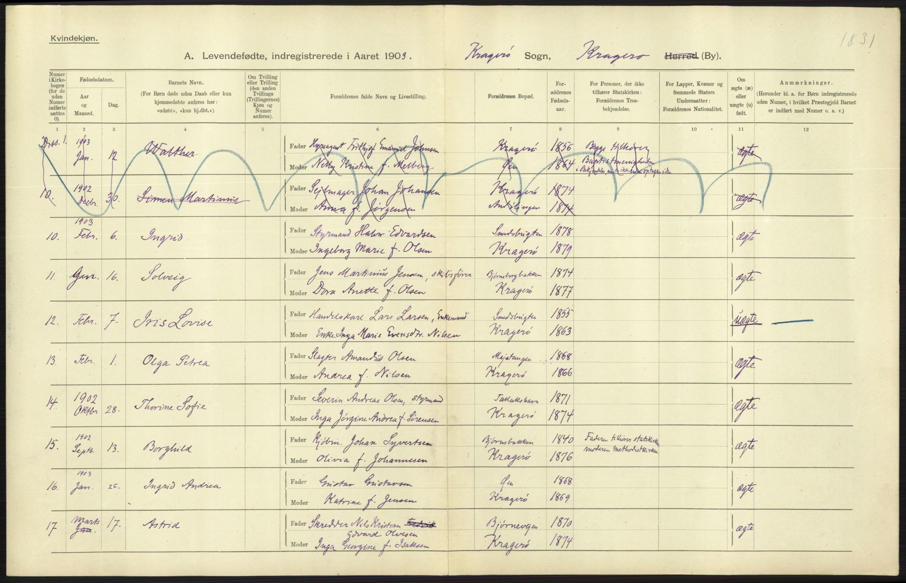 Statistisk sentralbyrå, Sosiodemografiske emner, Befolkning, AV/RA-S-2228/D/Df/Dfa/Dfaa/L0009: Bratsberg amt: Fødte, gifte, døde, 1903, p. 349