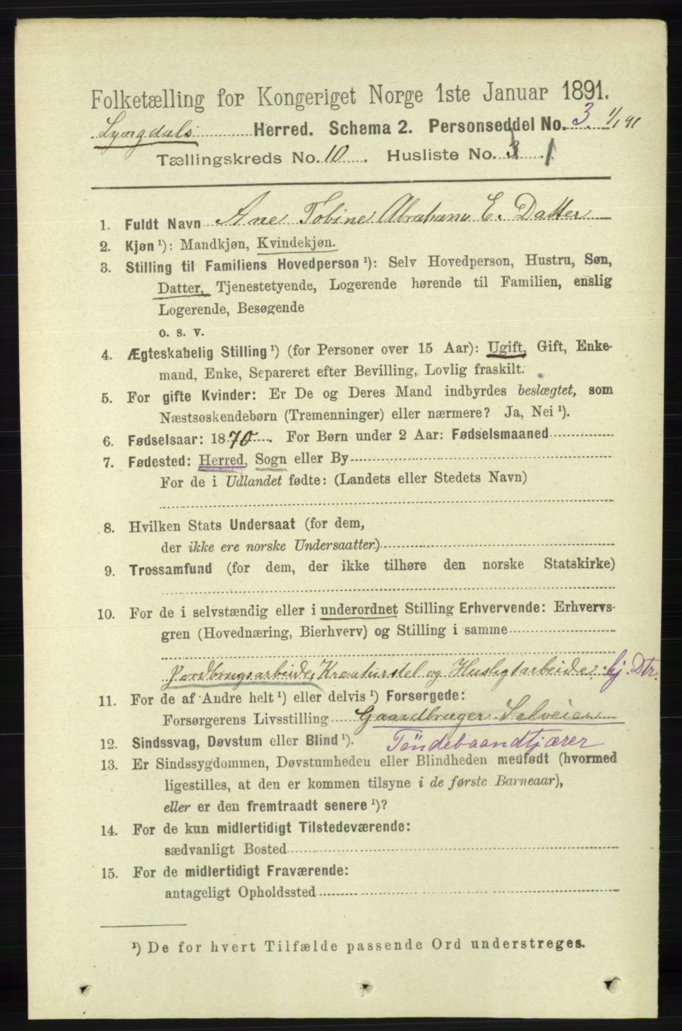 RA, 1891 census for 1032 Lyngdal, 1891, p. 4256