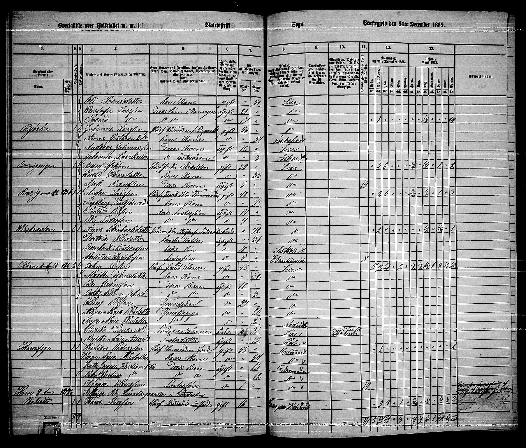 RA, 1865 census for Lier, 1865, p. 241