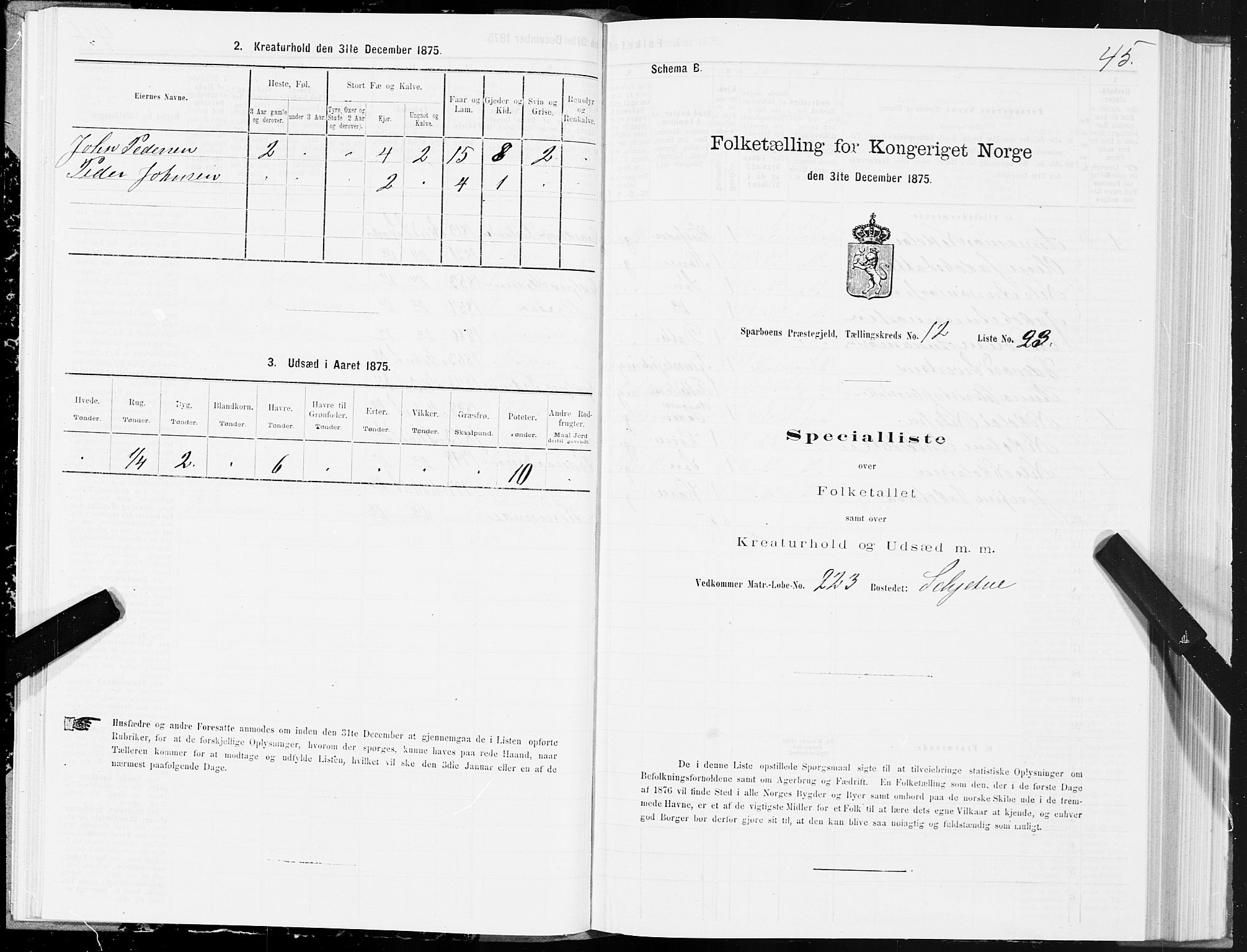 SAT, 1875 census for 1731P Sparbu, 1875, p. 5045