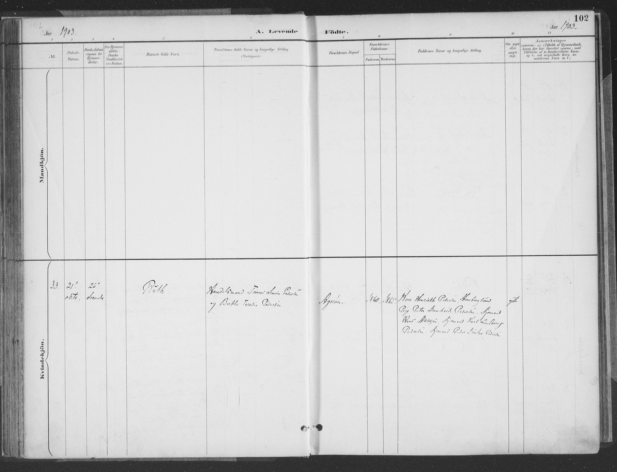 Høvåg sokneprestkontor, SAK/1111-0025/F/Fa/L0006: Parish register (official) no. A 6, 1894-1923, p. 102