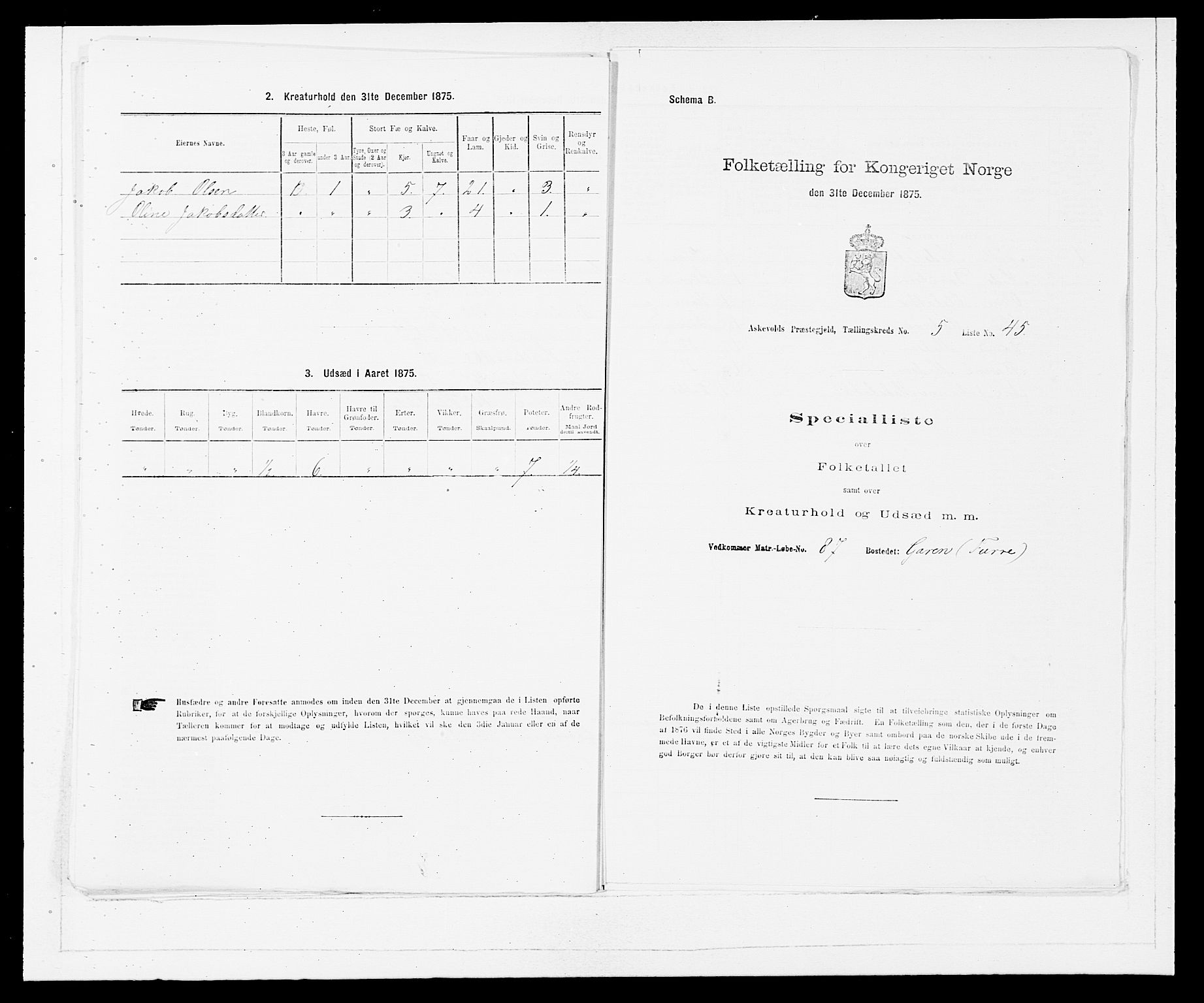 SAB, 1875 census for 1428P Askvoll, 1875, p. 450